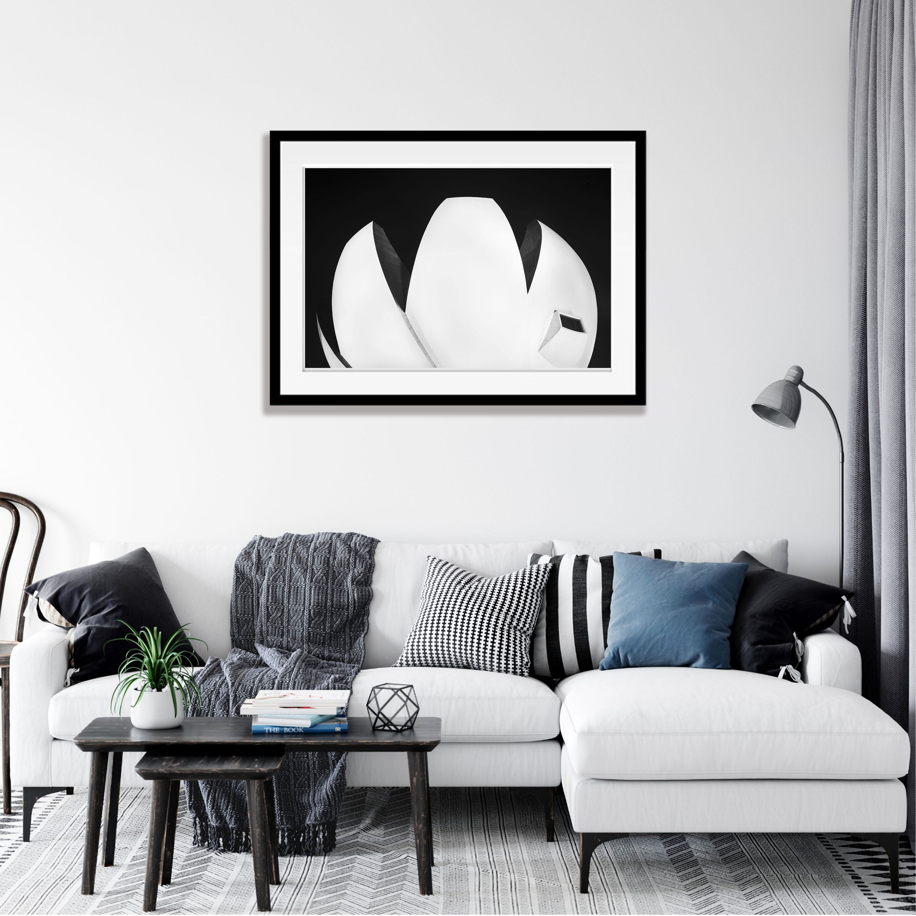 Lotus Leaf