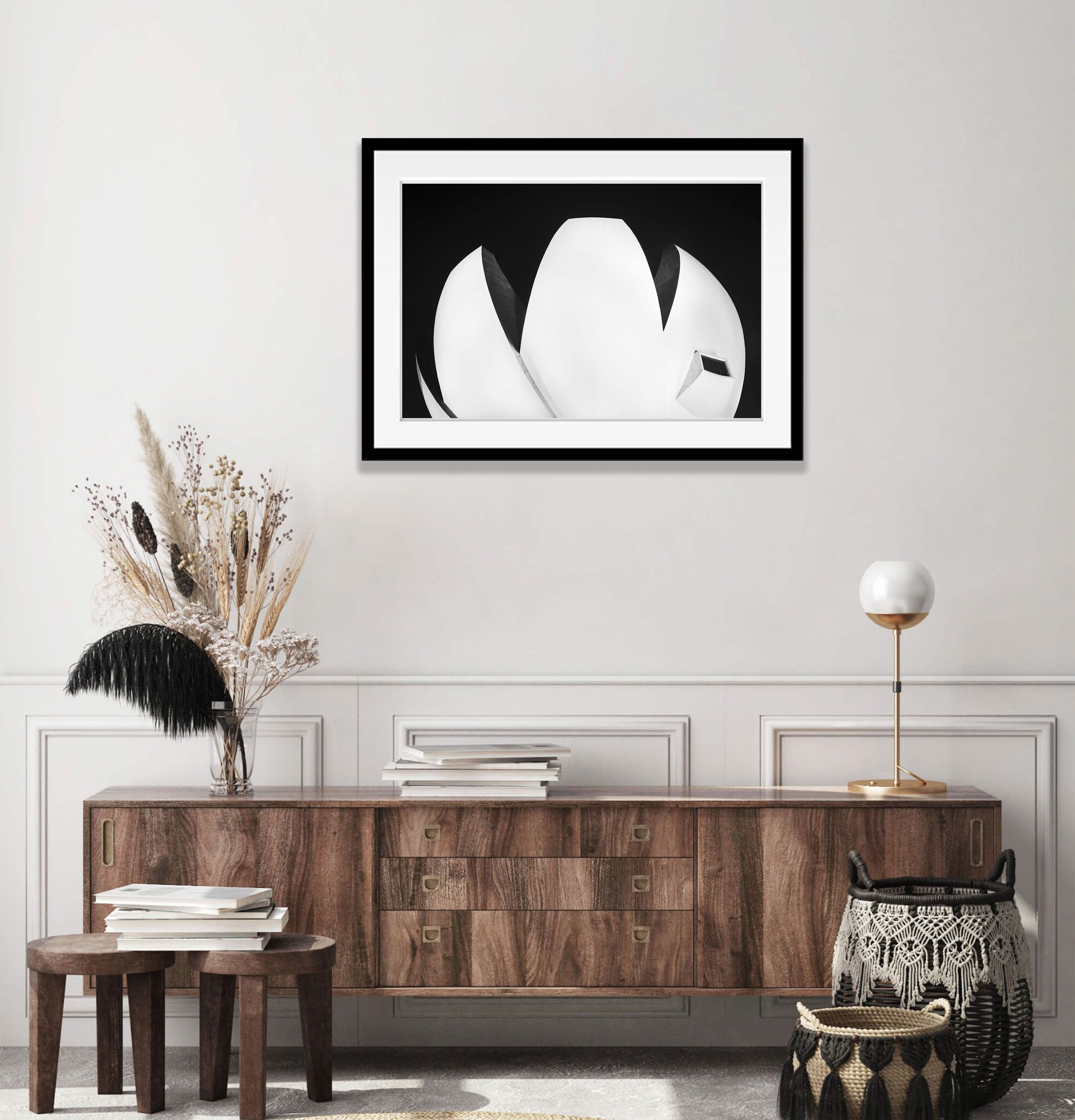 Lotus Leaf
