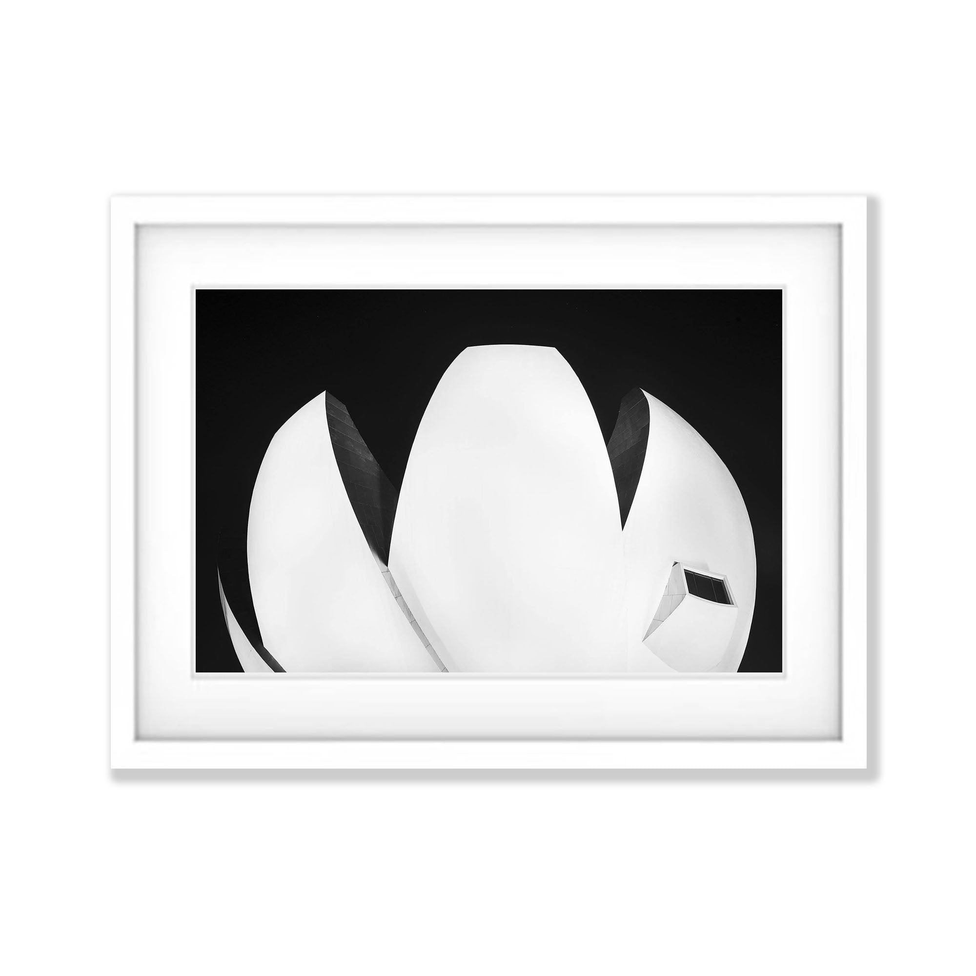 Lotus Leaf