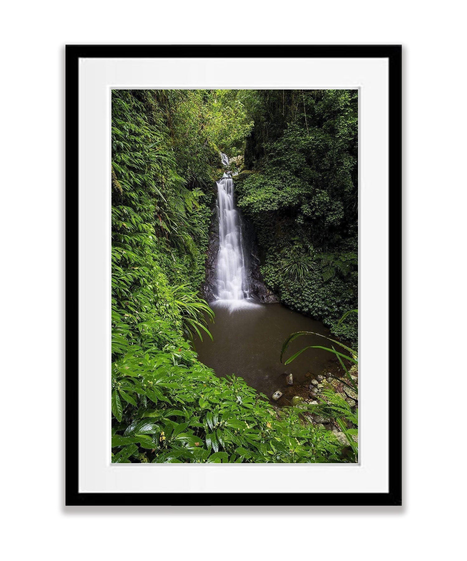 Luscious Lamington National Park QLD