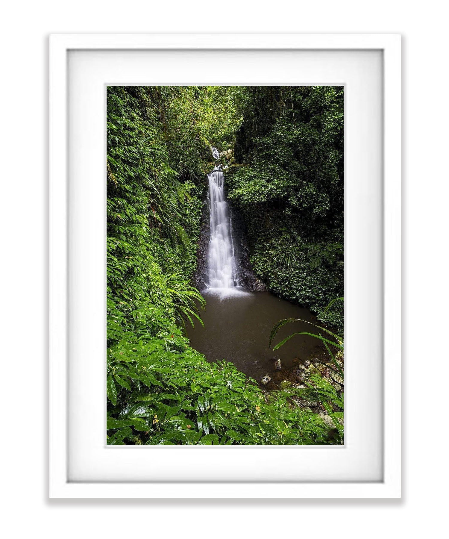 Luscious Lamington National Park QLD