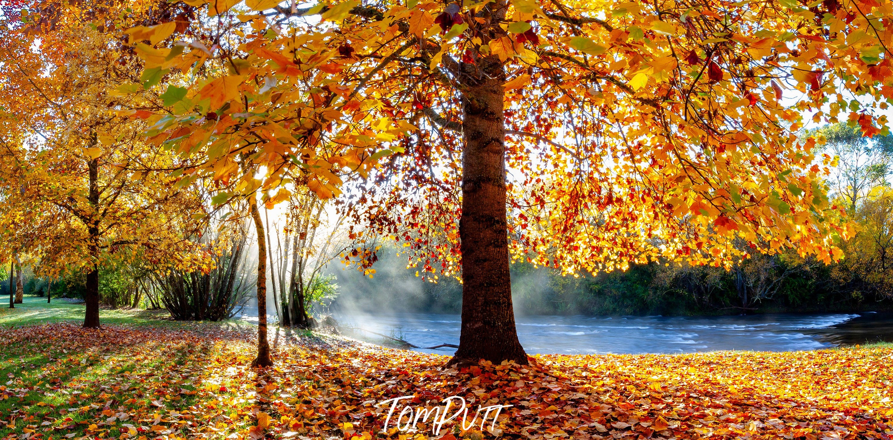 Bright Autumn Colours Pano