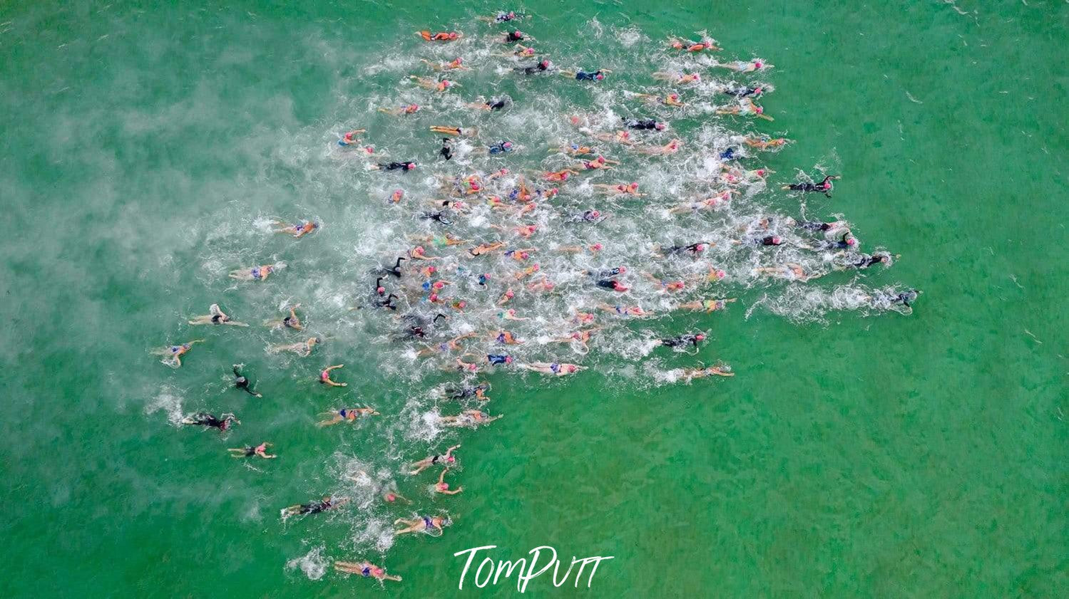 Aerial view of a green water beach with a lot of people in the water, MMAD Swimmers - Mornington Peninsula VIC