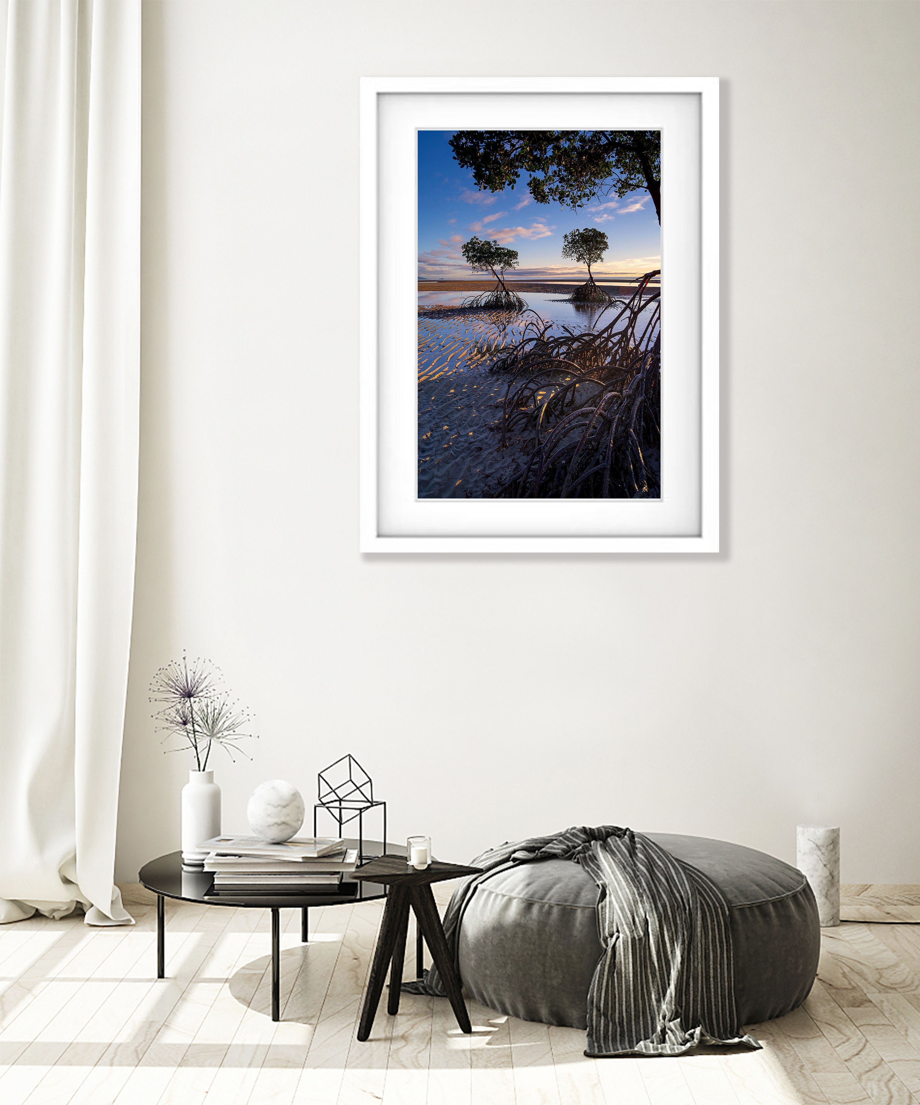 Mangrove Tree roots exposed at low tide, Far North Queensland