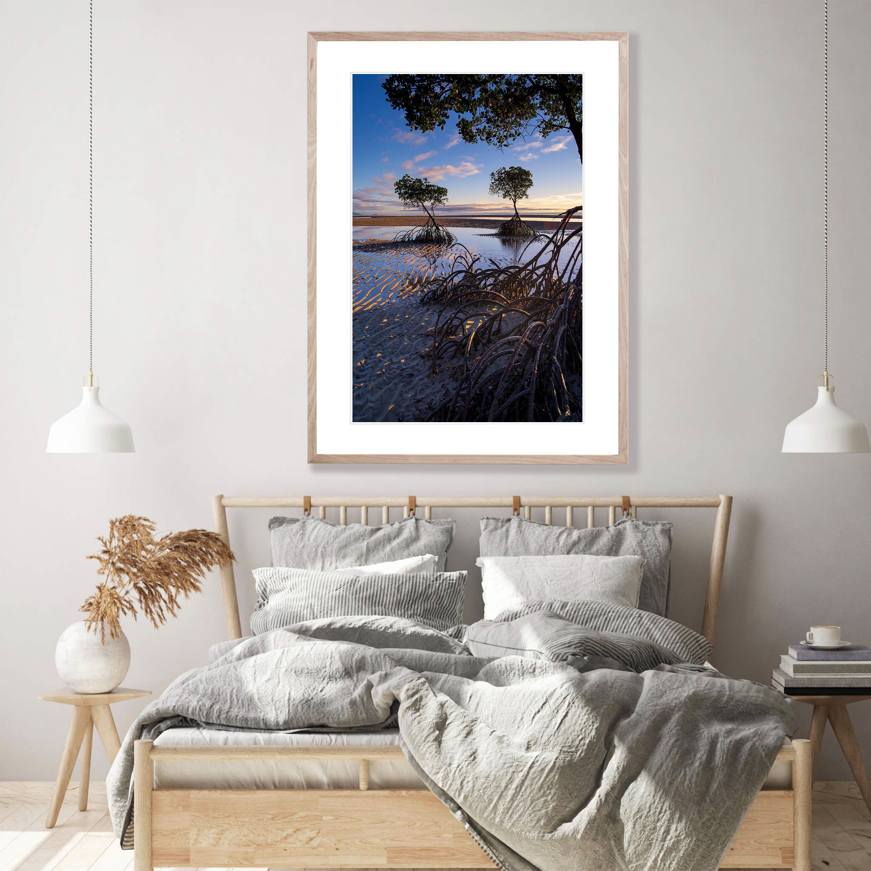 Mangrove Tree roots exposed at low tide, Far North Queensland