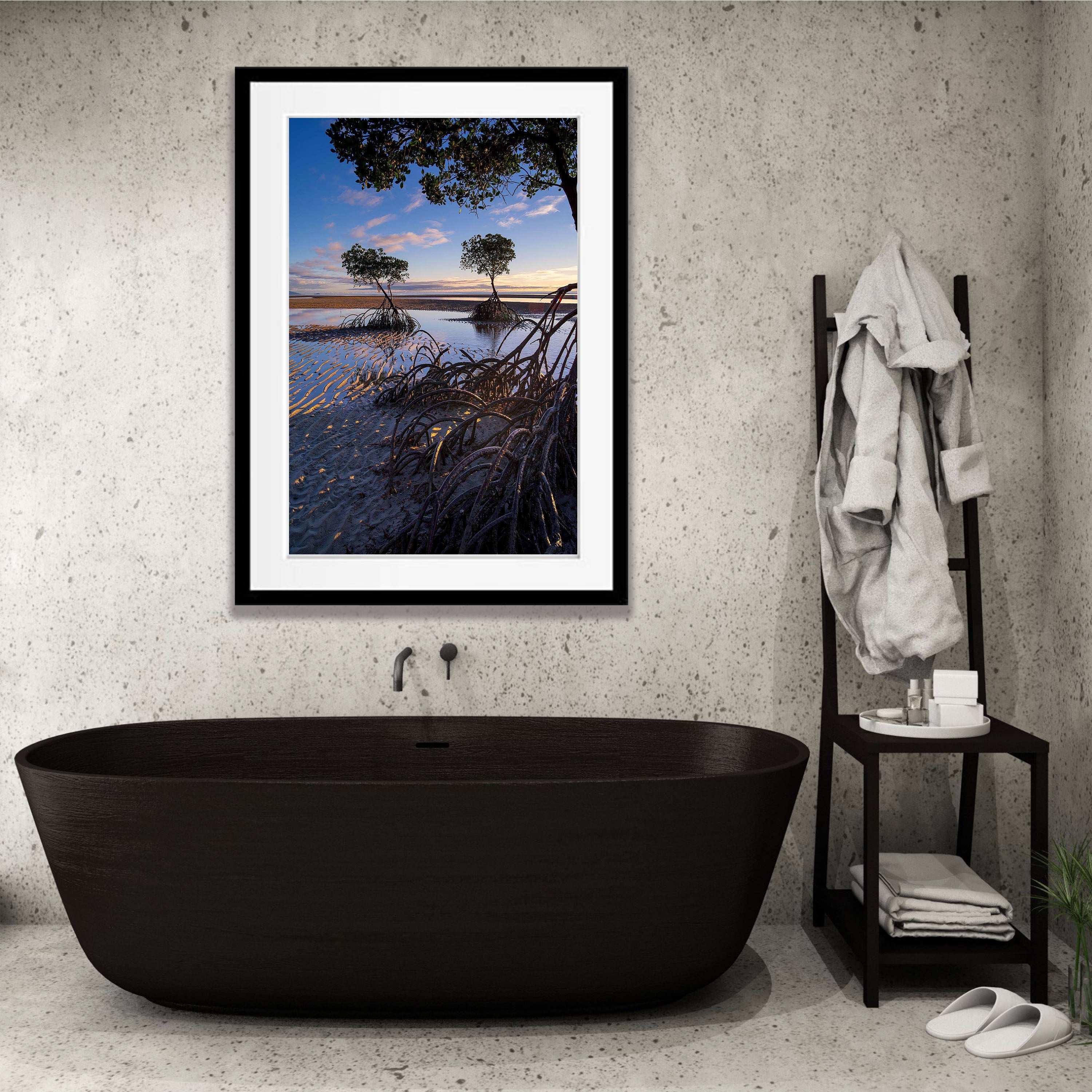 Mangrove Tree roots exposed at low tide, Far North Queensland