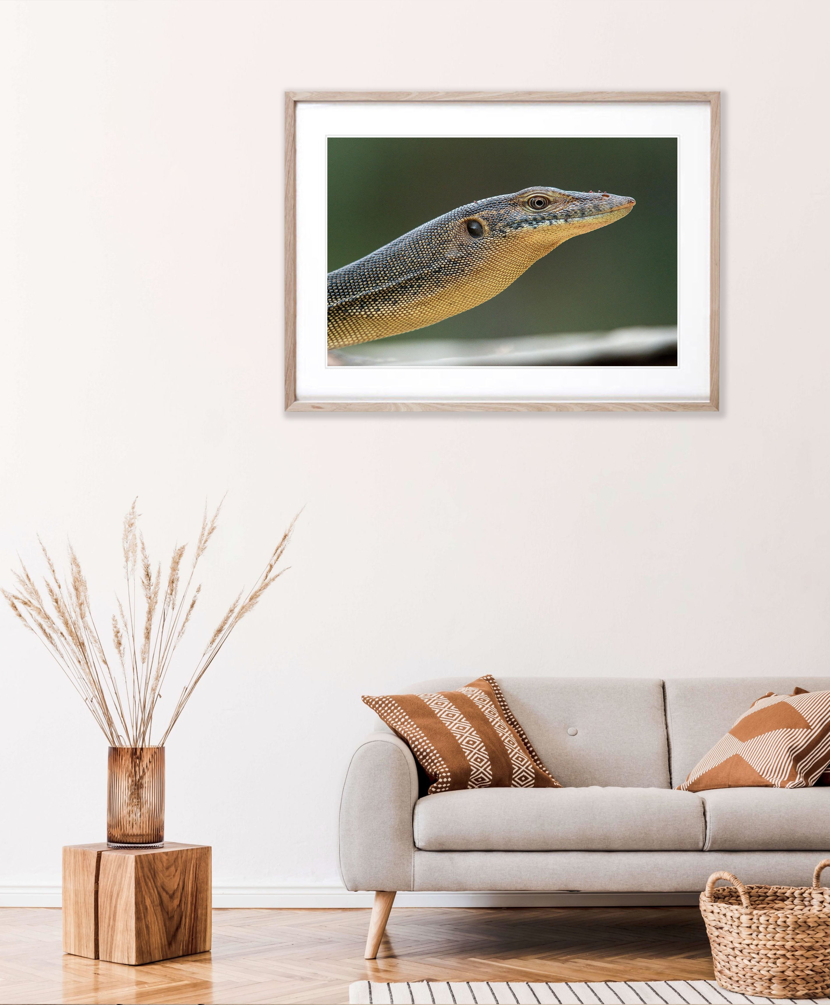 Mertens Water Monitor, Arnhem Land, Northern Territory