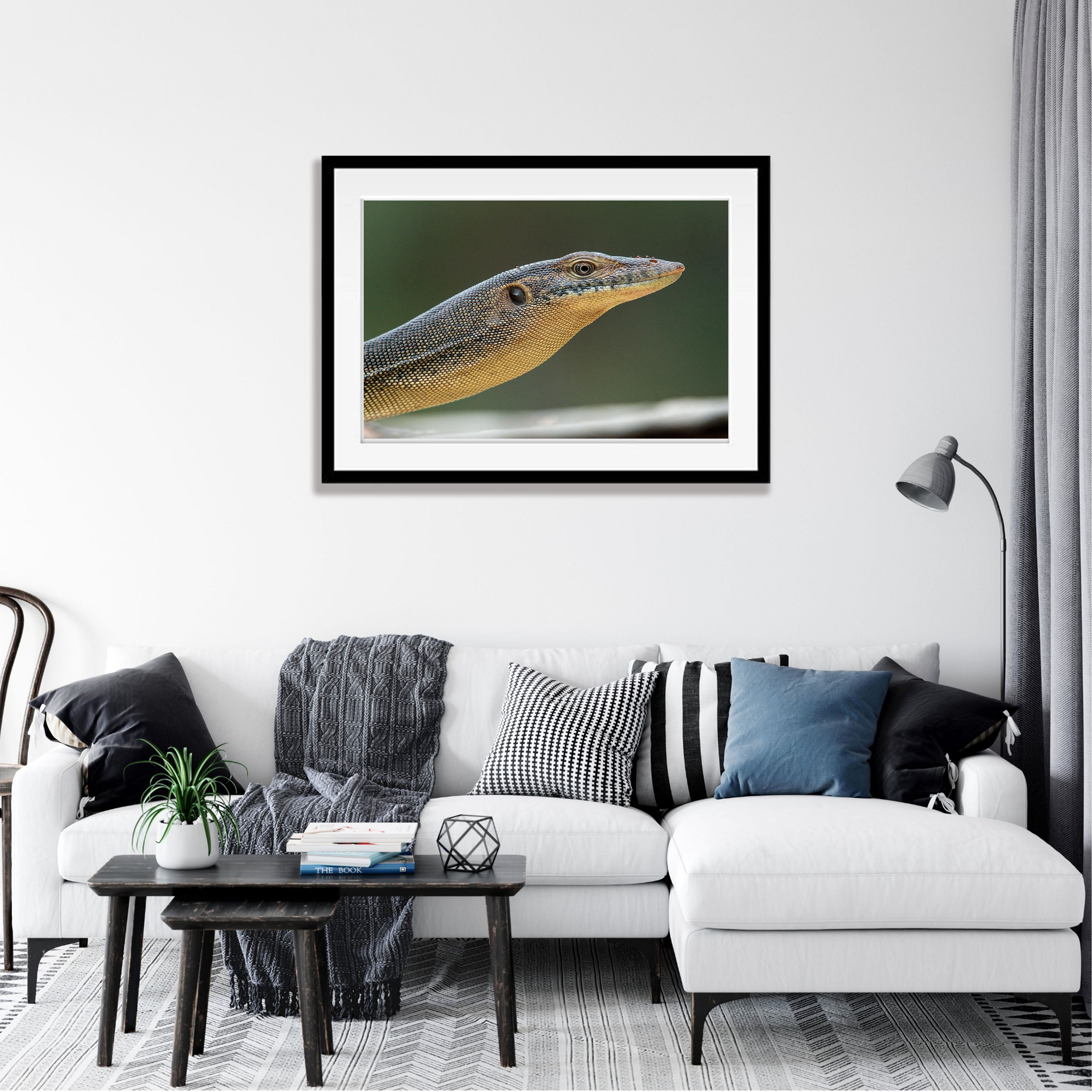 Mertens Water Monitor, Arnhem Land, Northern Territory