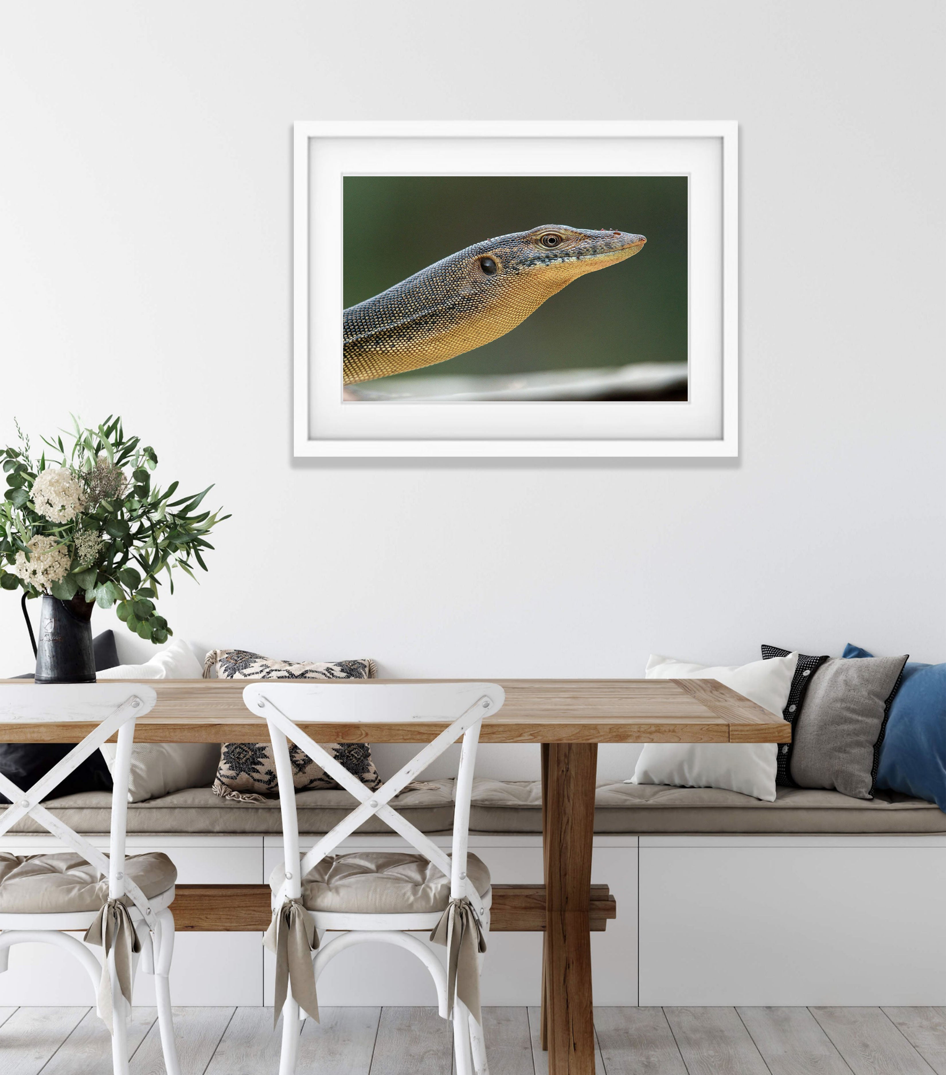 Mertens Water Monitor, Arnhem Land, Northern Territory