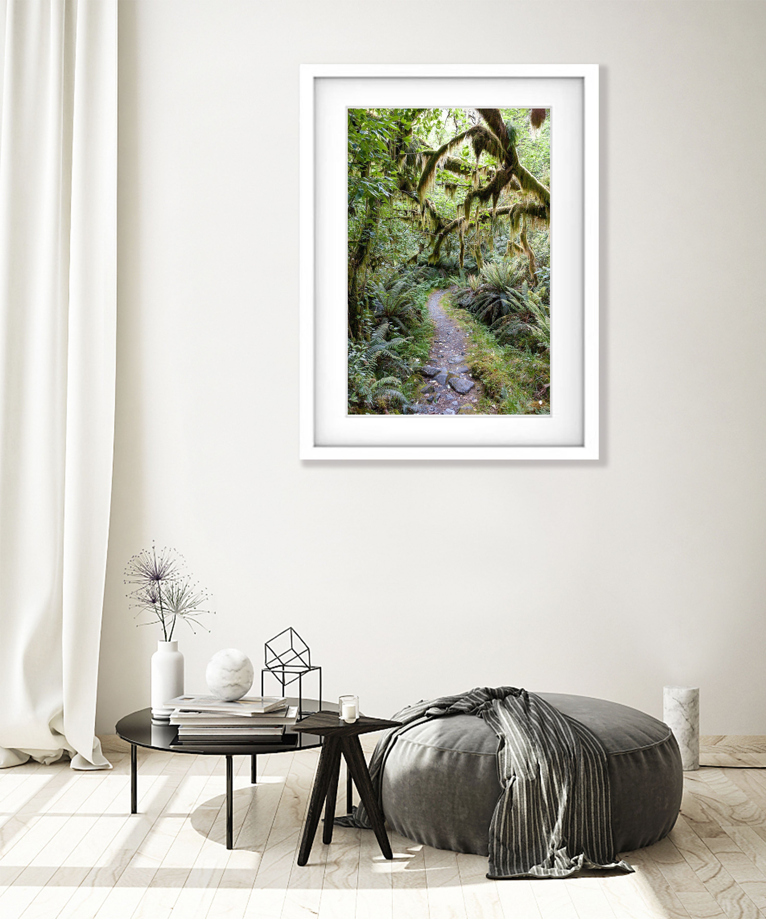 Milford Track rainforest - New Zealand