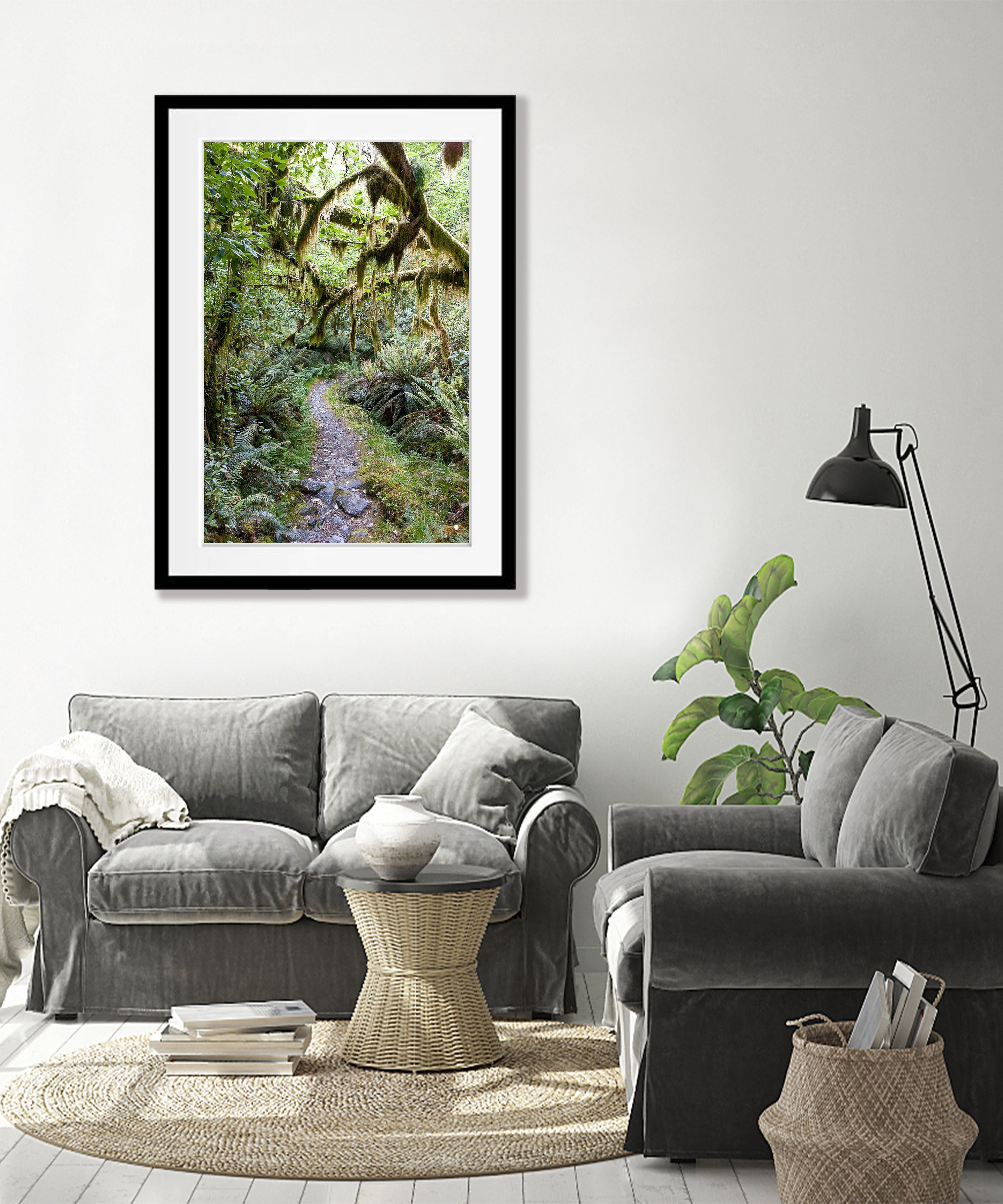 Milford Track rainforest - New Zealand