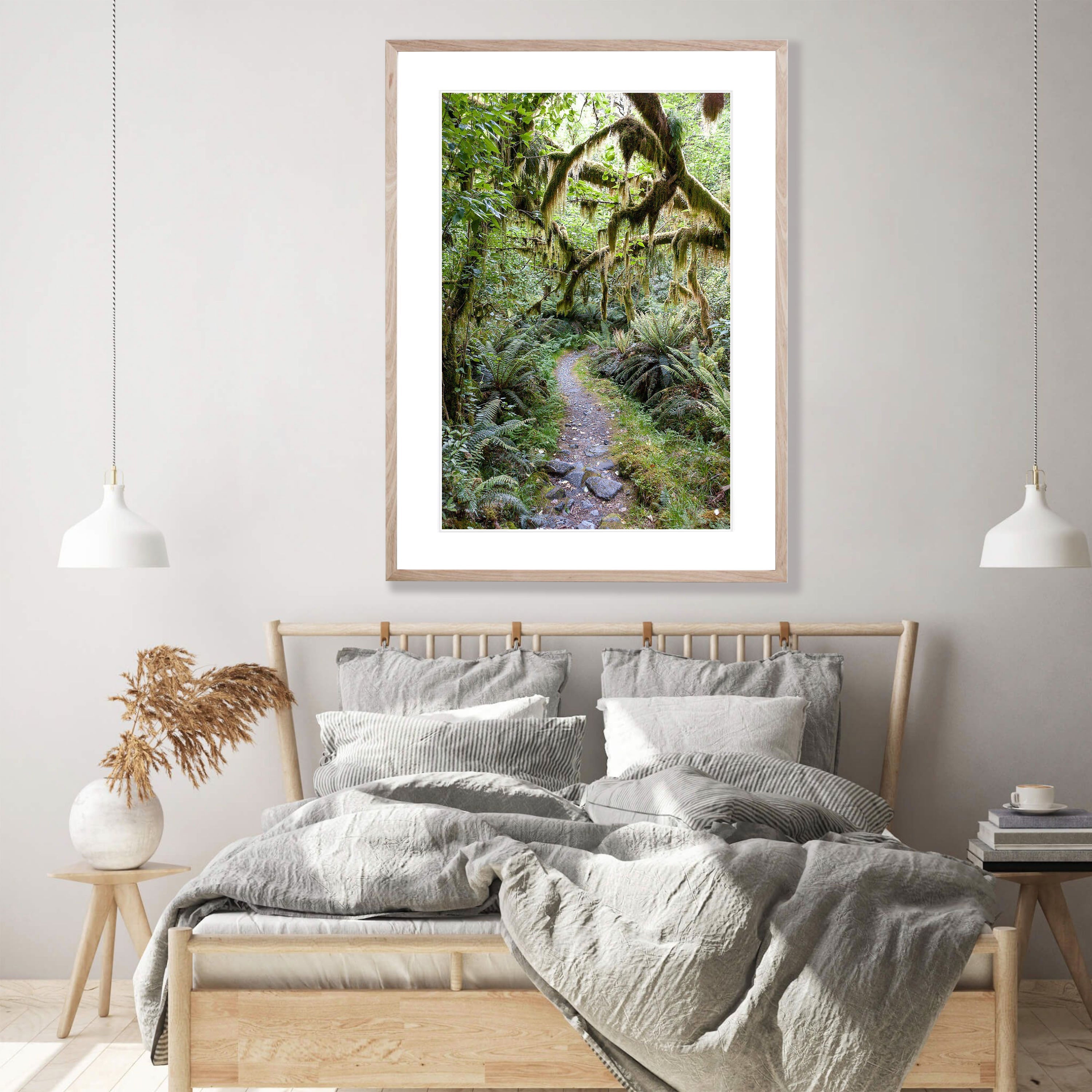 Milford Track rainforest - New Zealand