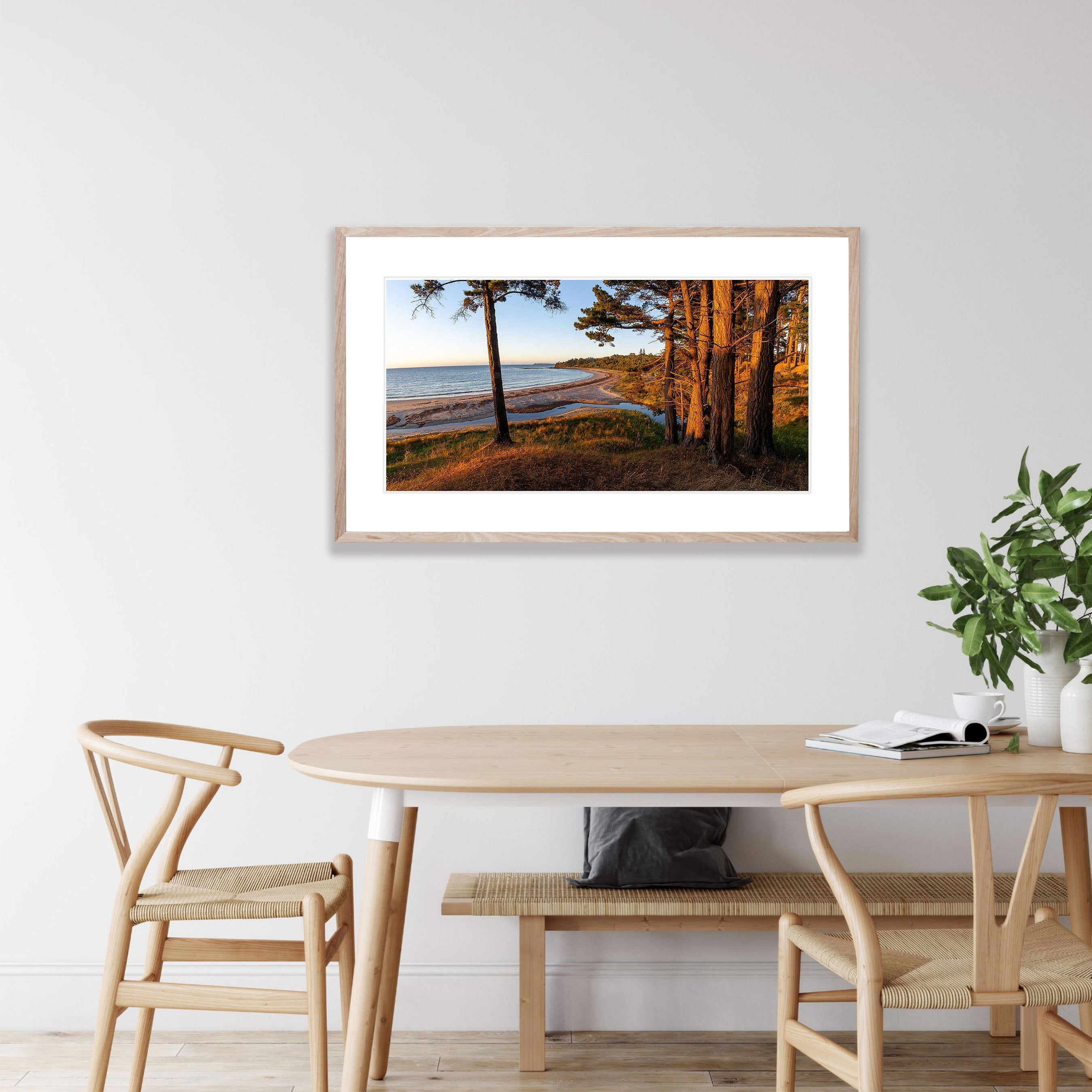 Morning Glow, Shoreham Pine Forest, Mornington Peninsula, VIC