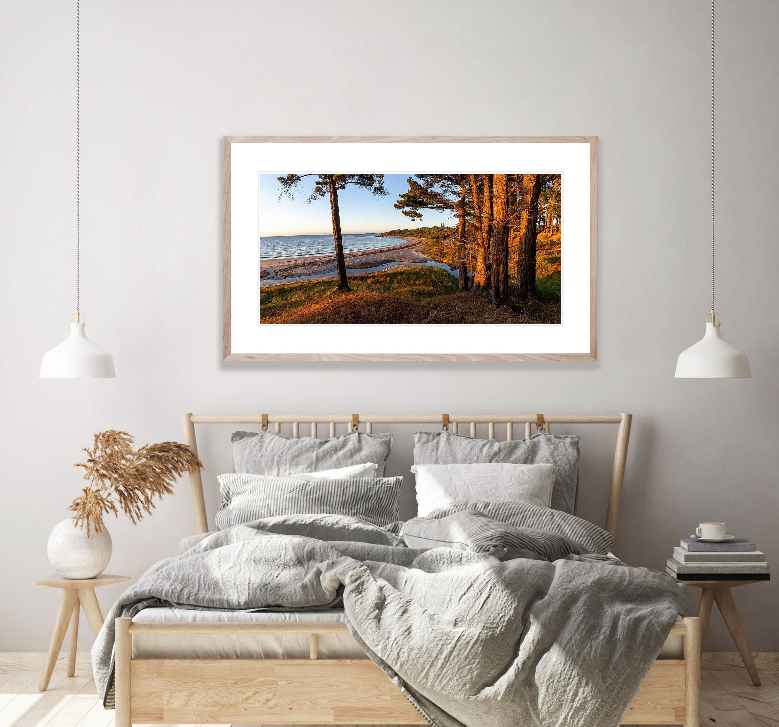 Morning Glow, Shoreham Pine Forest, Mornington Peninsula, VIC