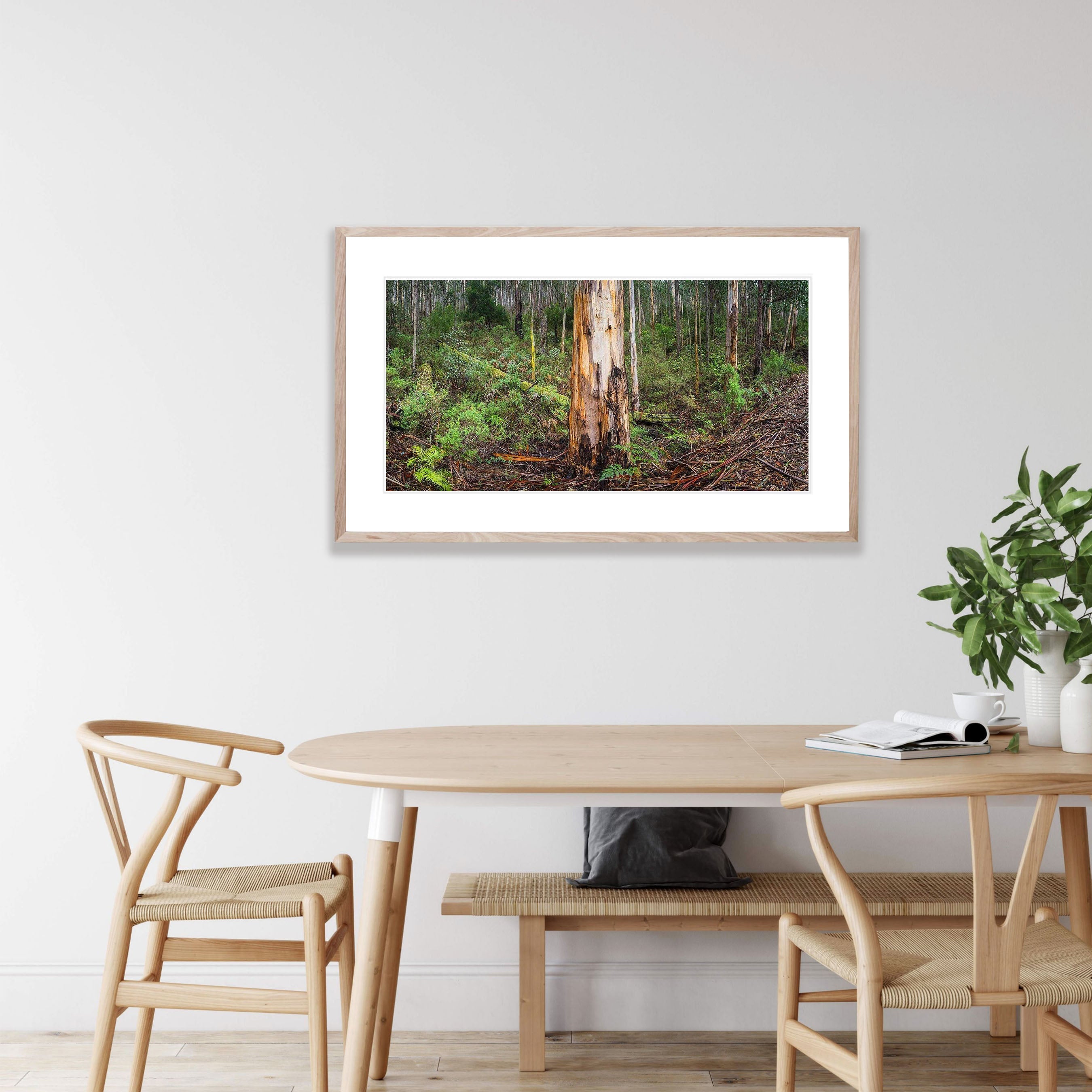 Mountain Ash forest