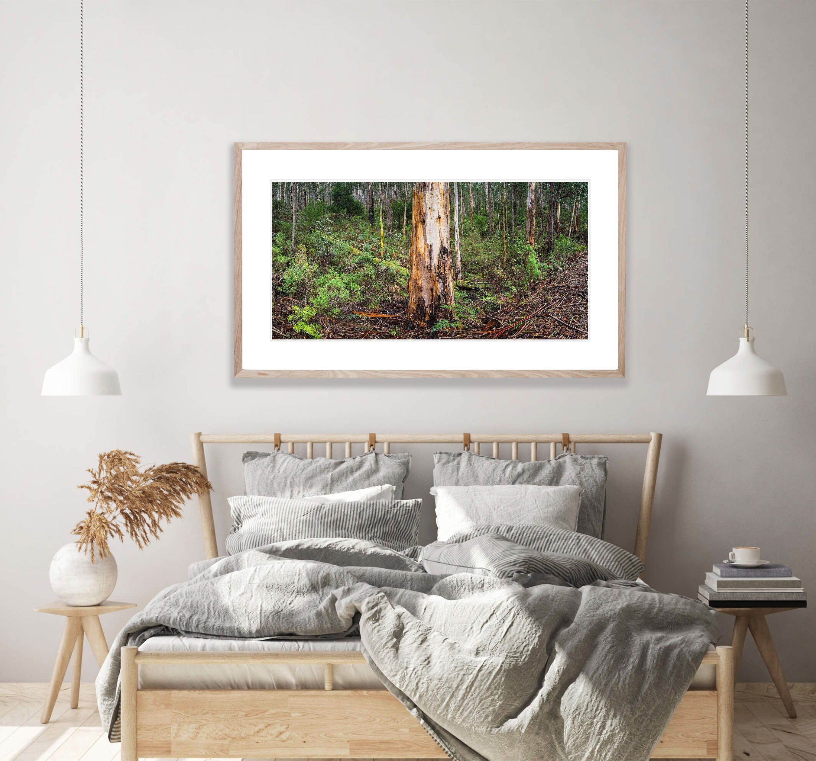 Mountain Ash forest