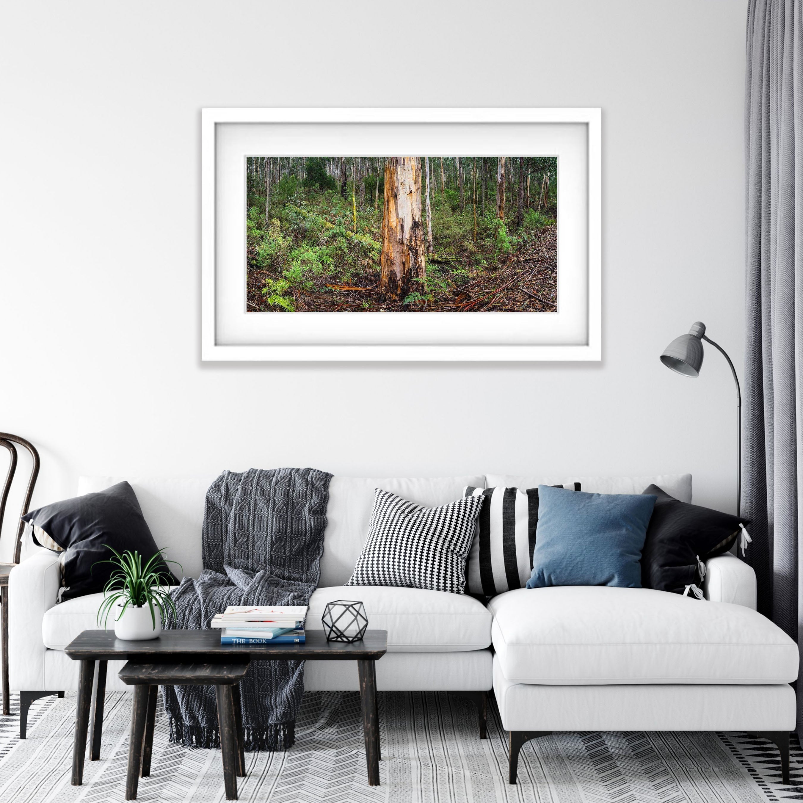 Mountain Ash forest