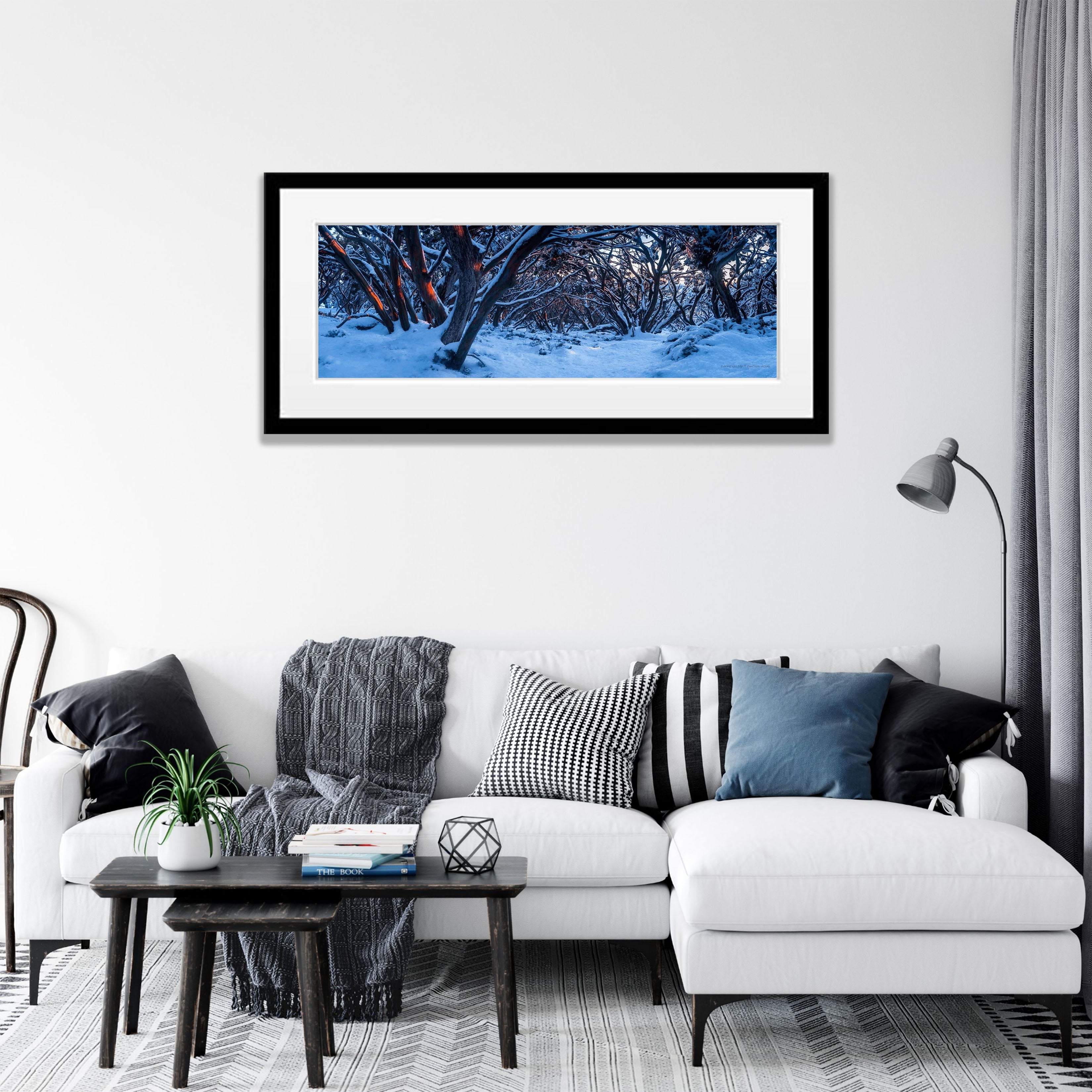 Mt Baw Baw Gum Tree Forest - Victorian High Country