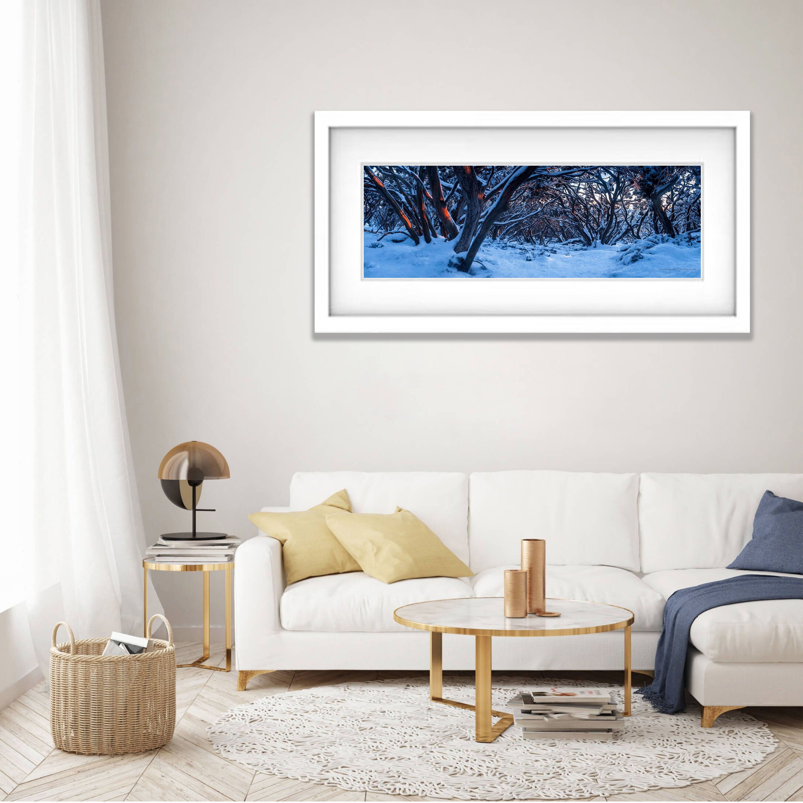 Mt Baw Baw Gum Tree Forest - Victorian High Country