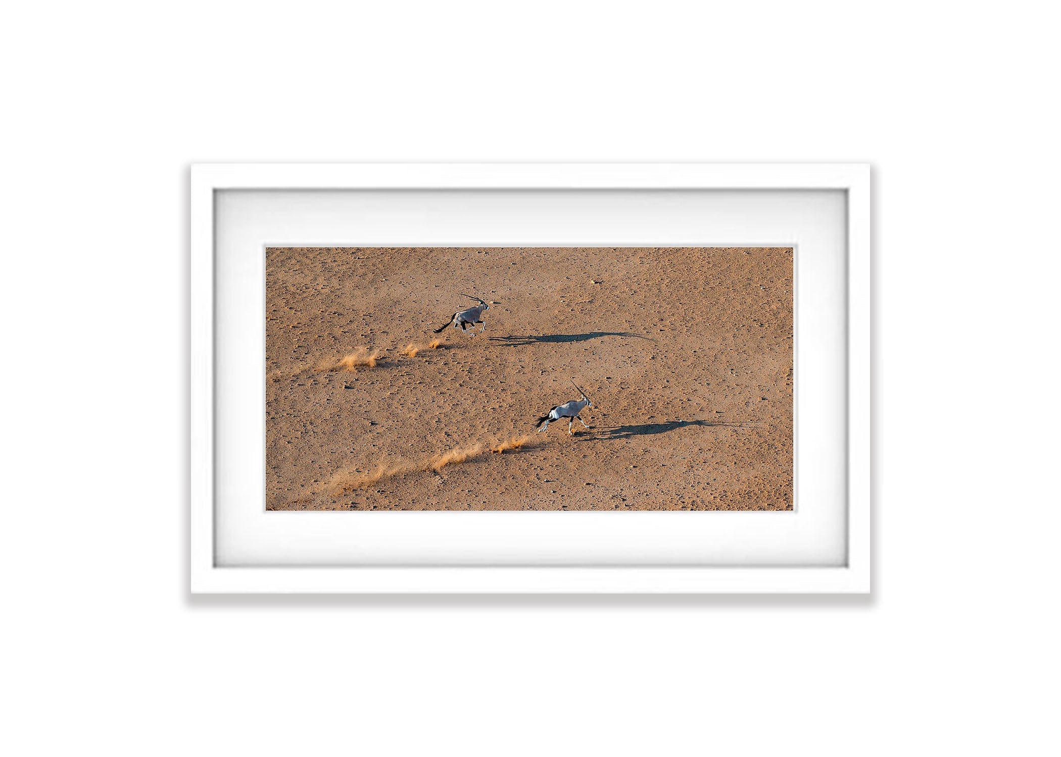 Oryx running, Namibia, Africa