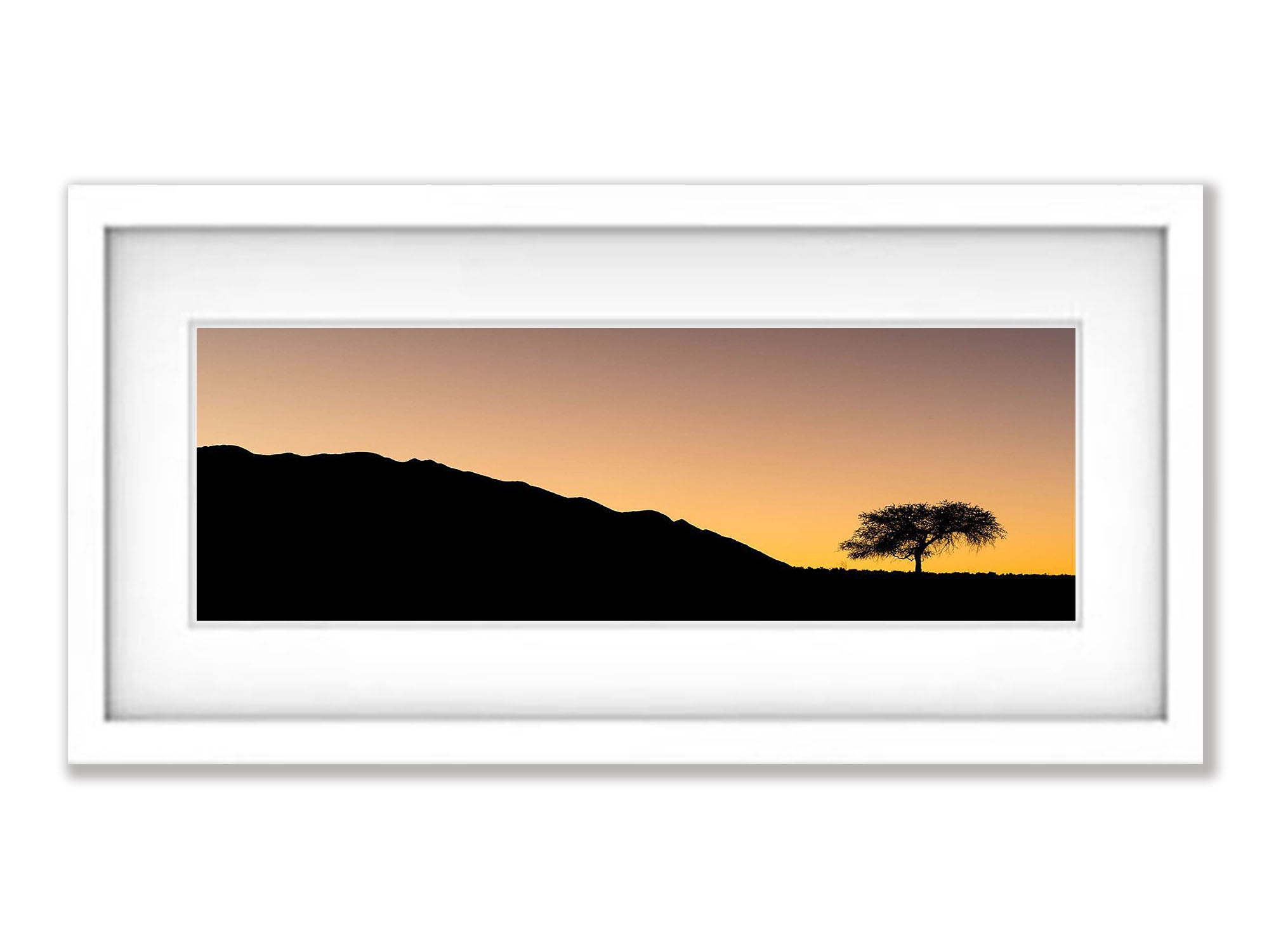 Sunset with camel thorn tree, Namibia, Africa