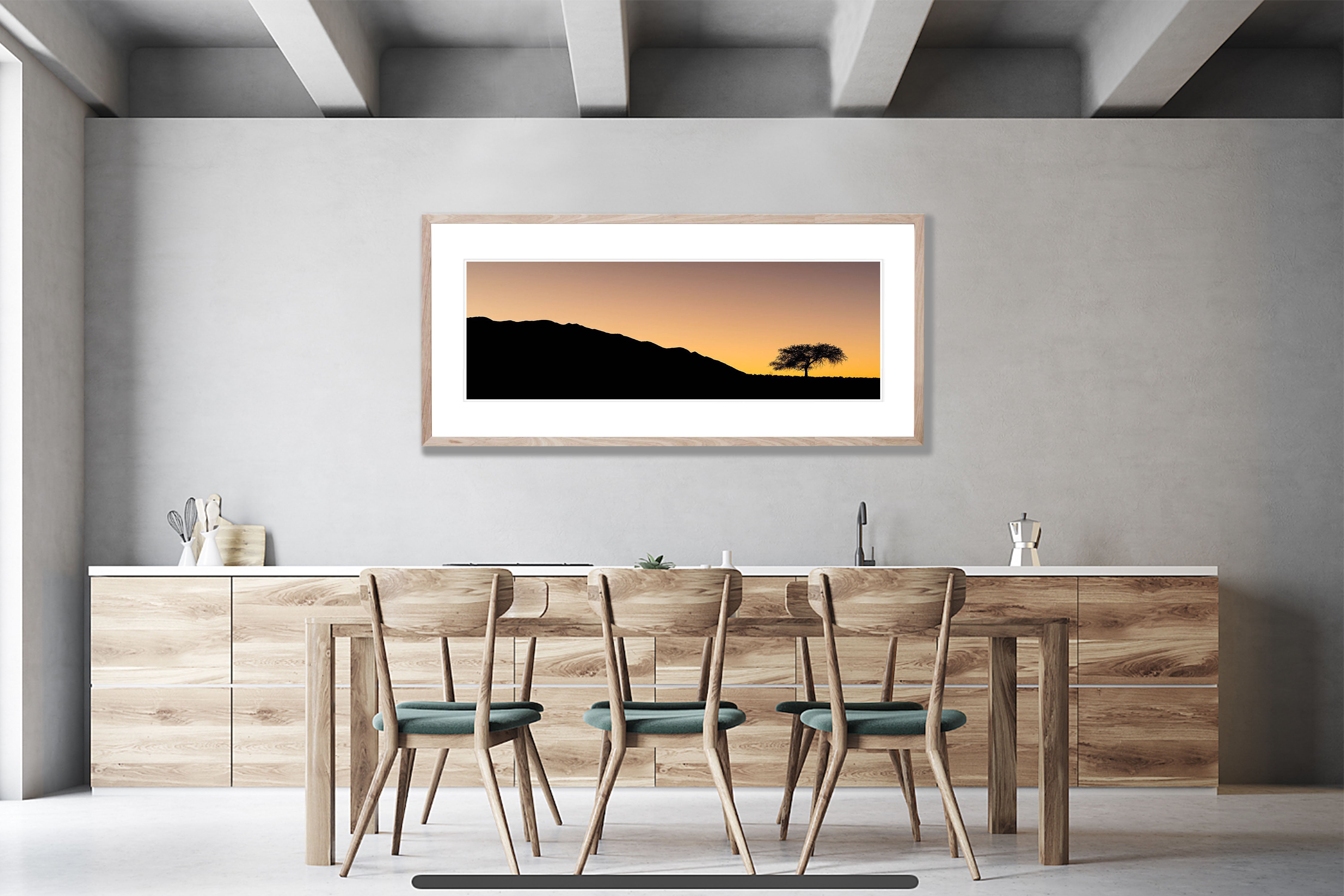 Sunset with camel thorn tree, Namibia, Africa