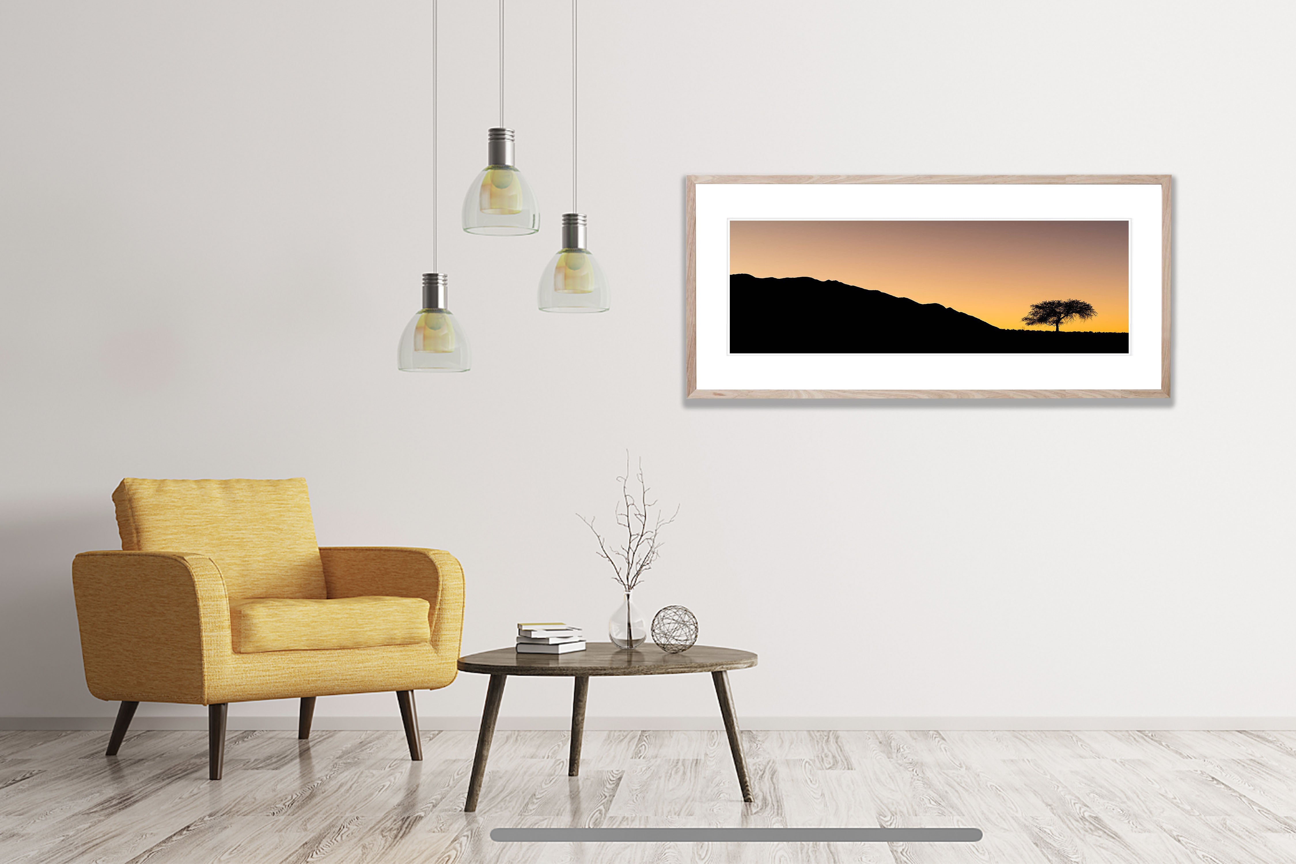 Sunset with camel thorn tree, Namibia, Africa