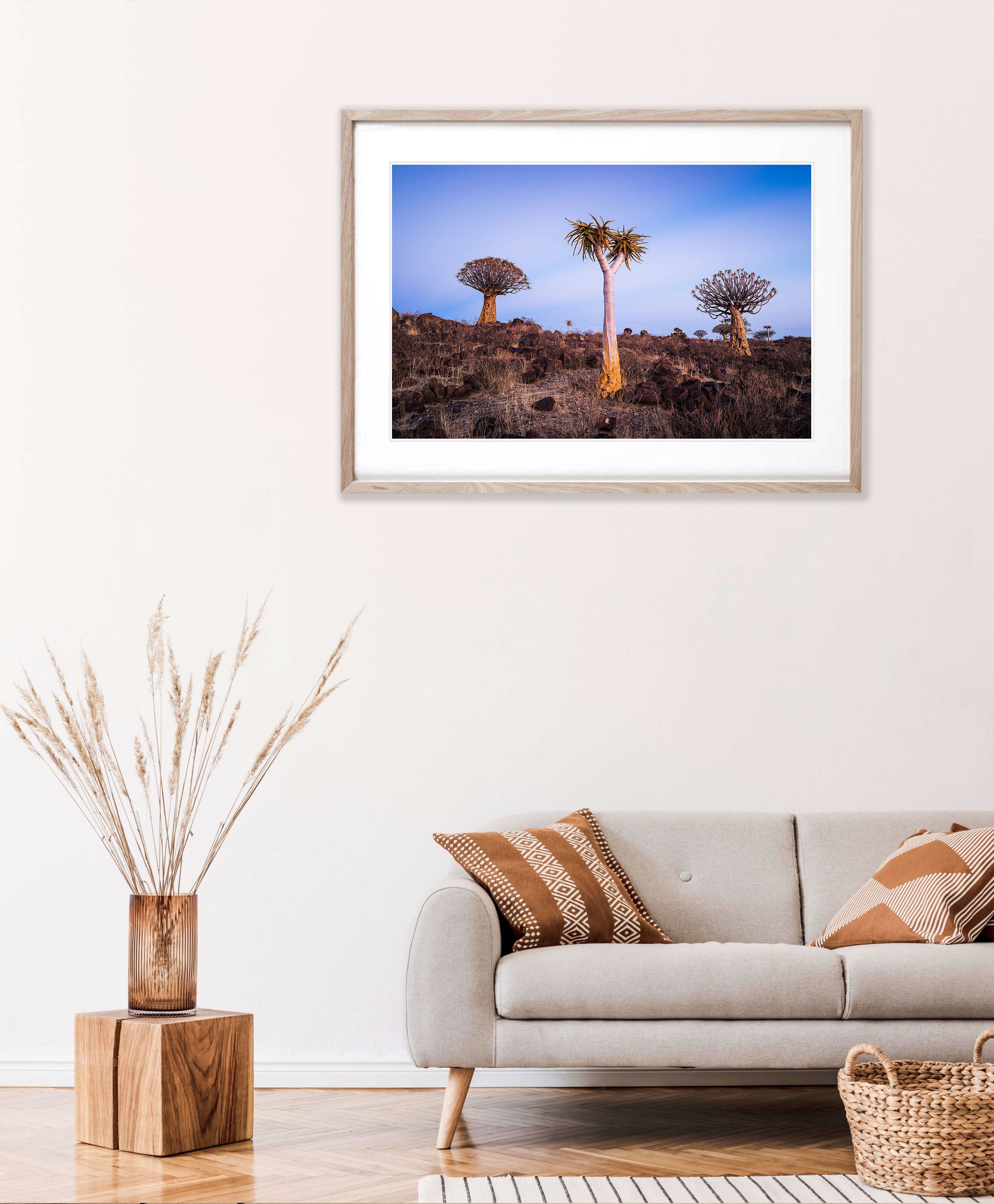 Quiver Trees, Namibia, Africa