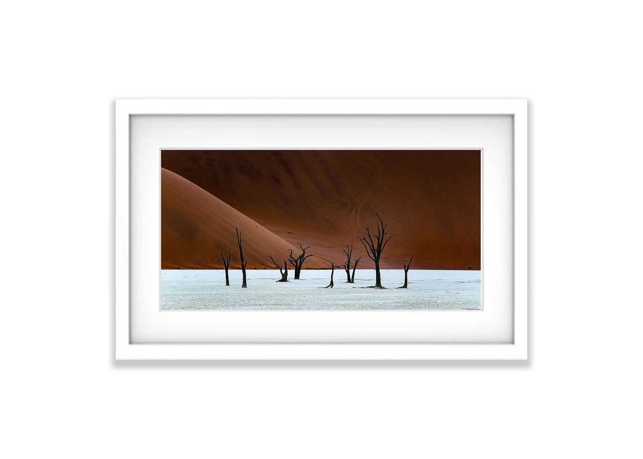 Desolate Beauty, Deadvlei, Namibia, Africa