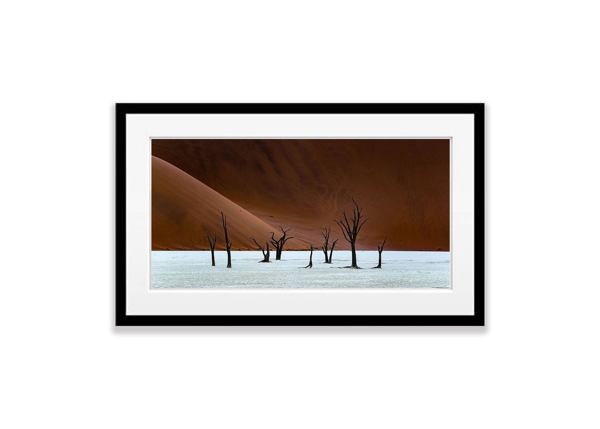 Desolate Beauty, Deadvlei, Namibia, Africa