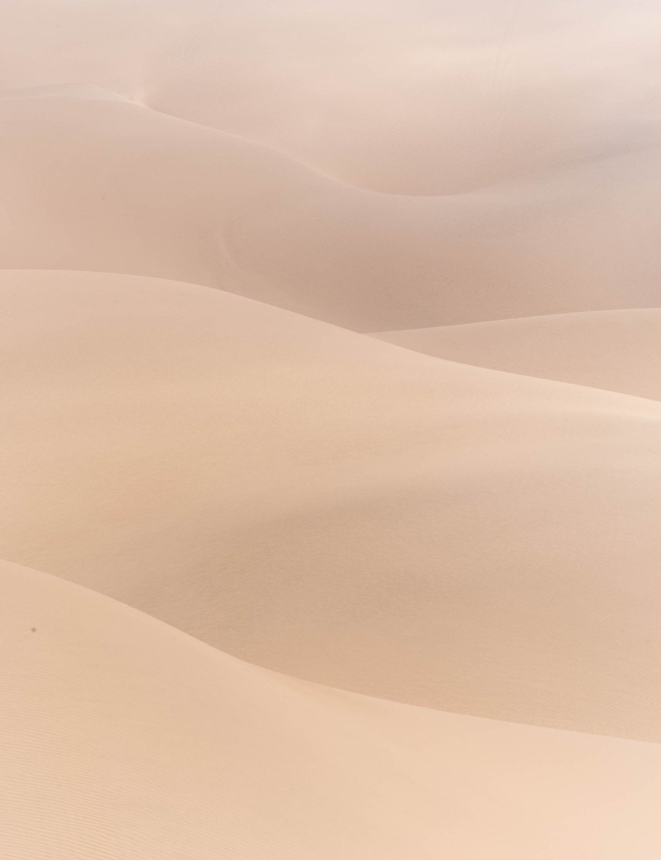 Wavy sand of desert, Namibia #23, Africa