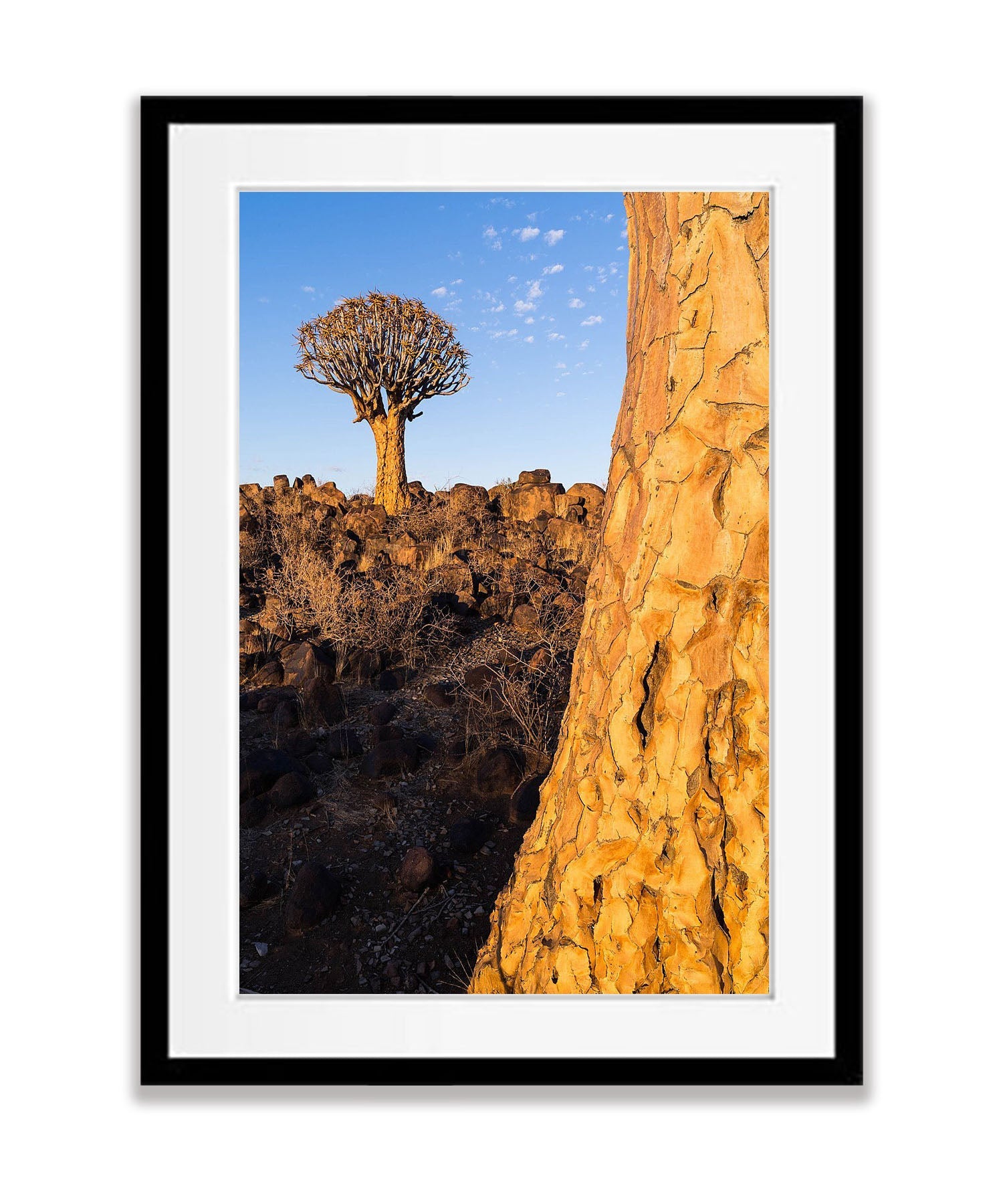 Enduring Strength, Namibia, Africa