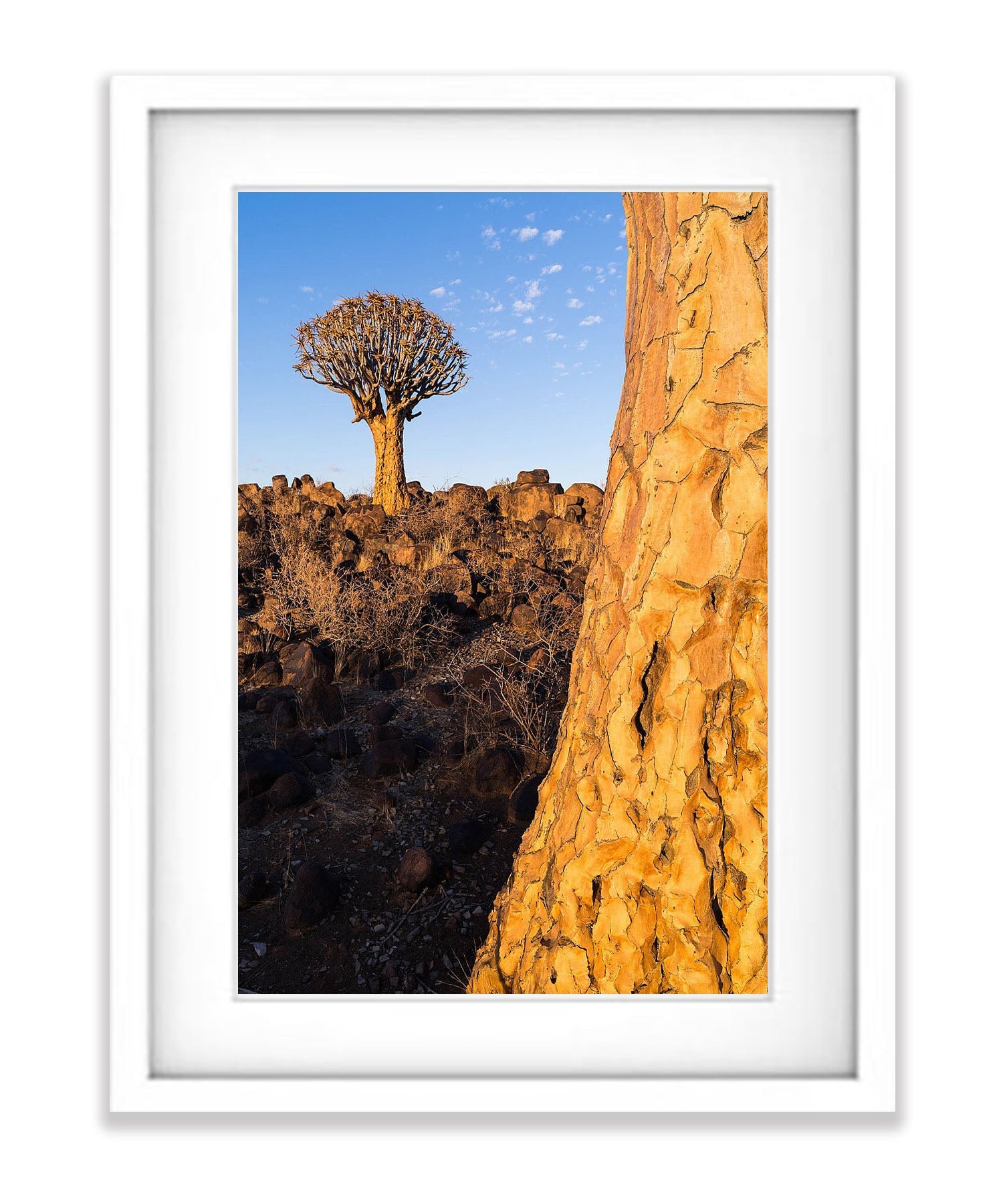 Enduring Strength, Namibia, Africa