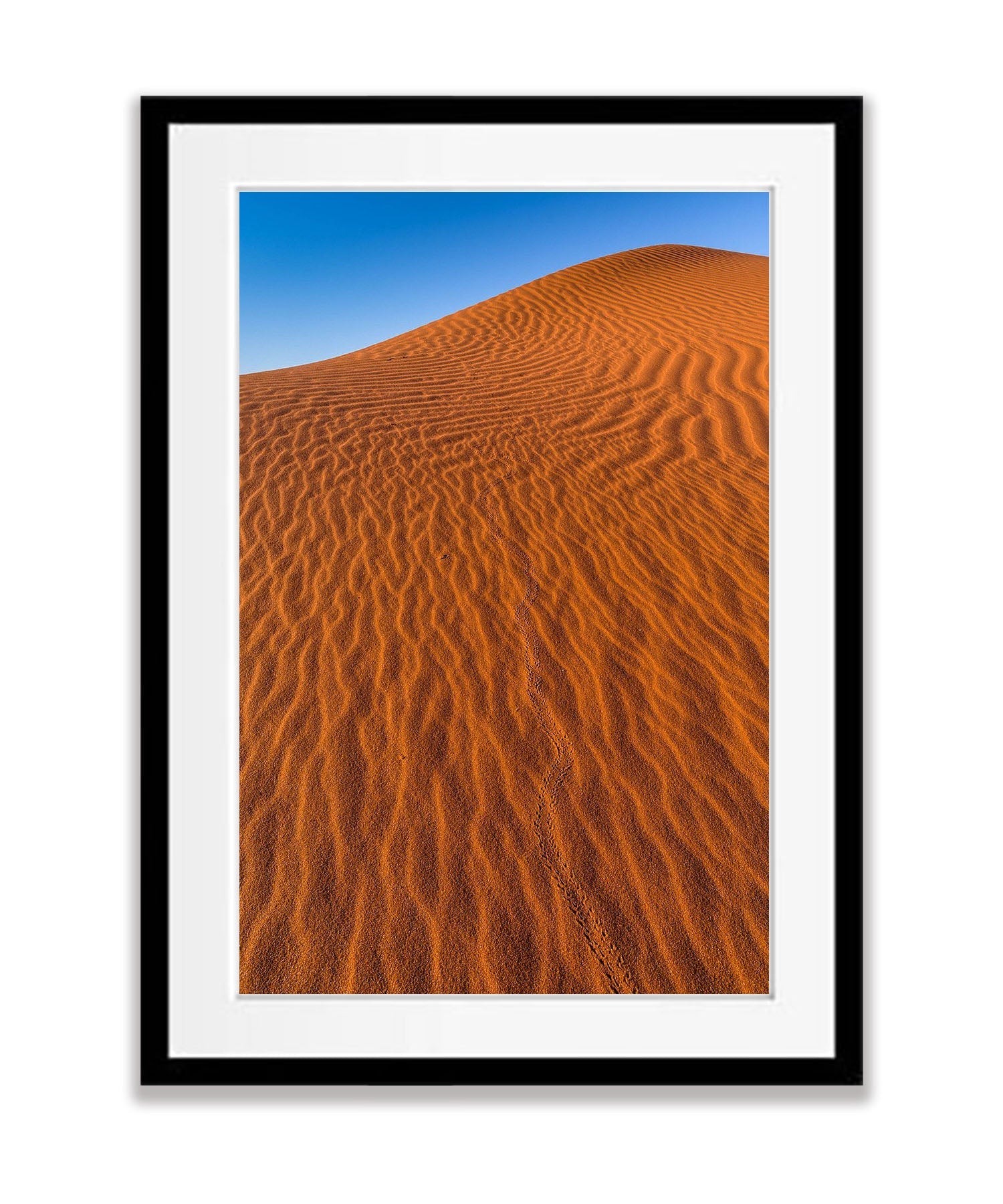 Endless Journey, Namibia, Africa