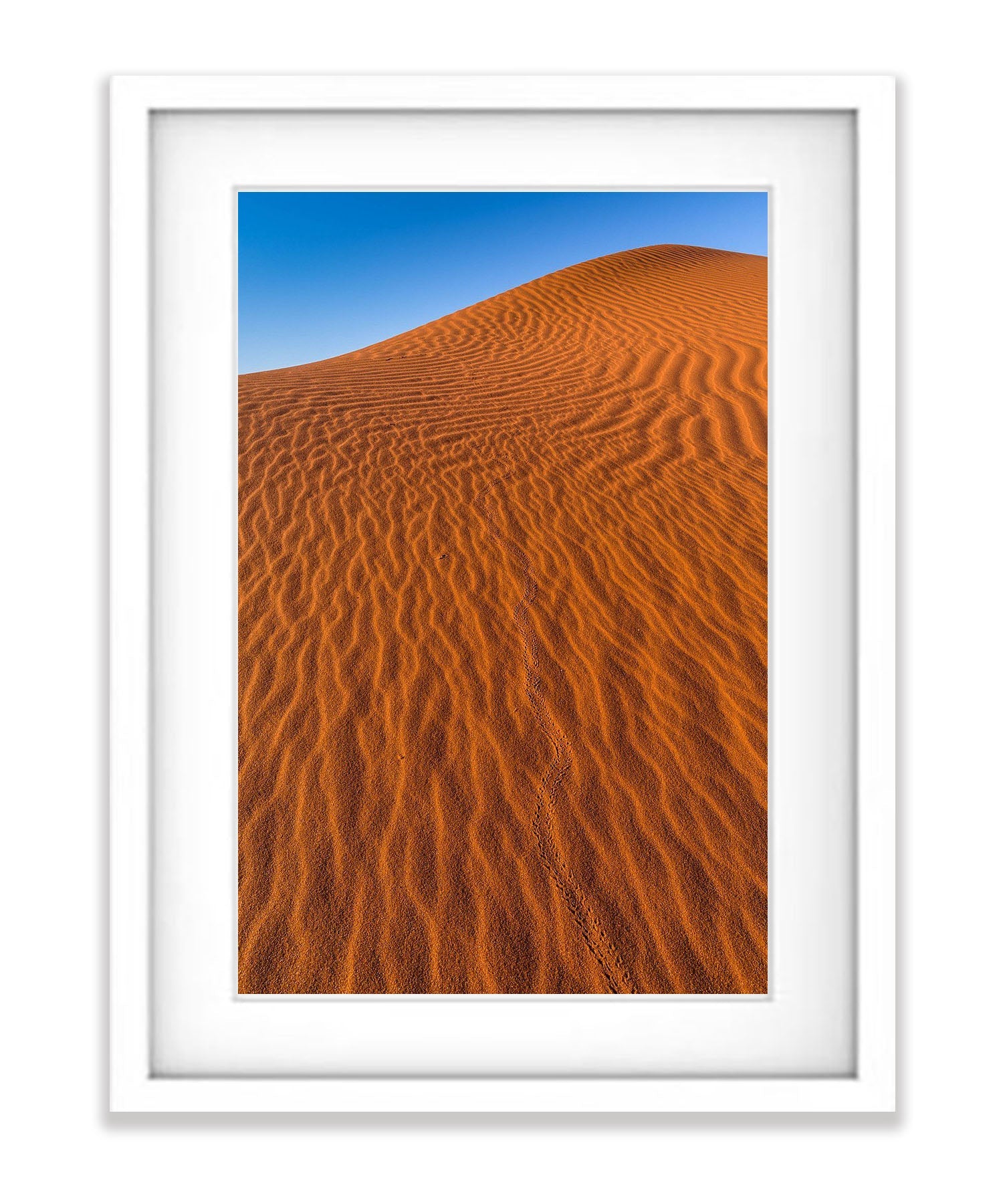 Endless Journey, Namibia, Africa