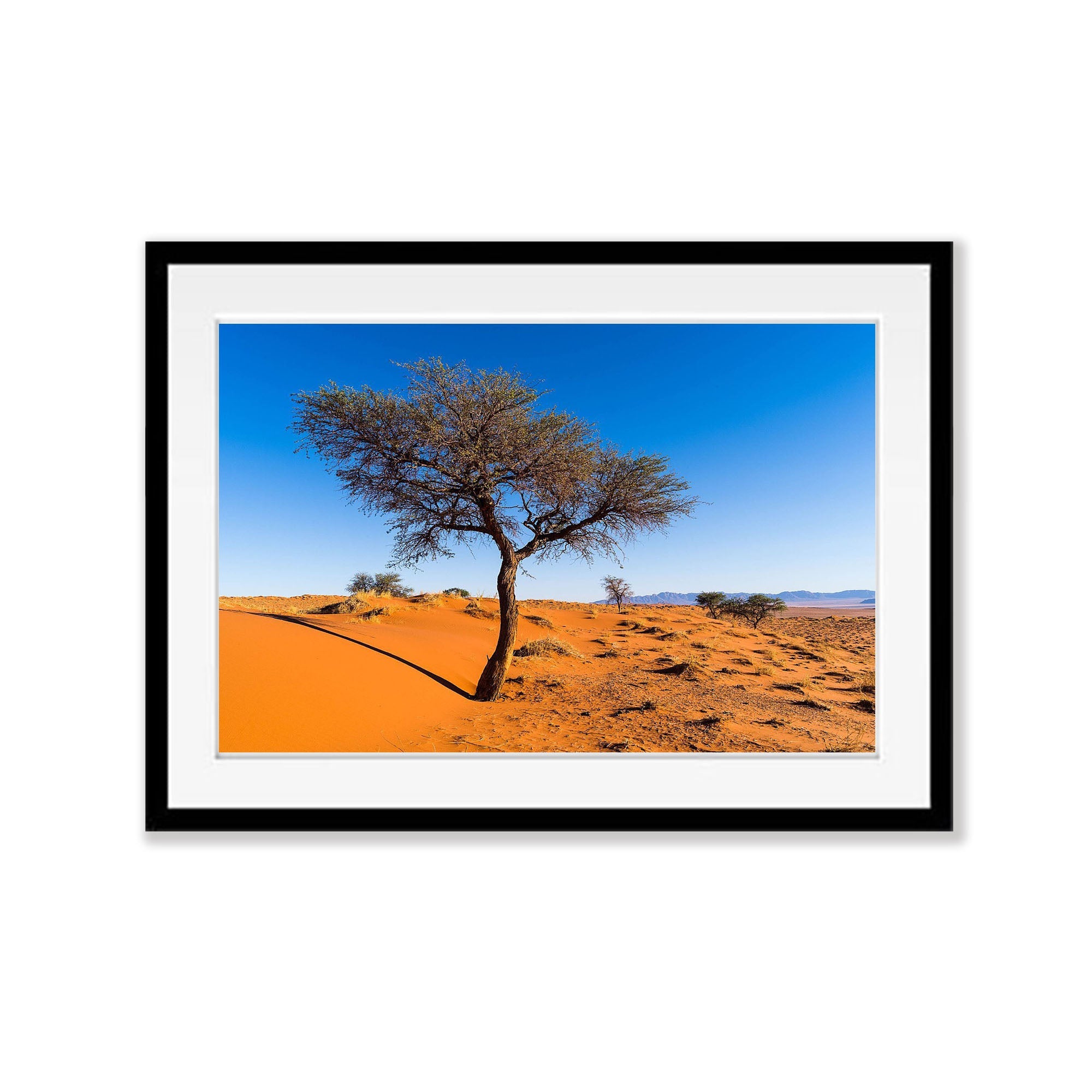 Silent Strength, Namibia, Africa