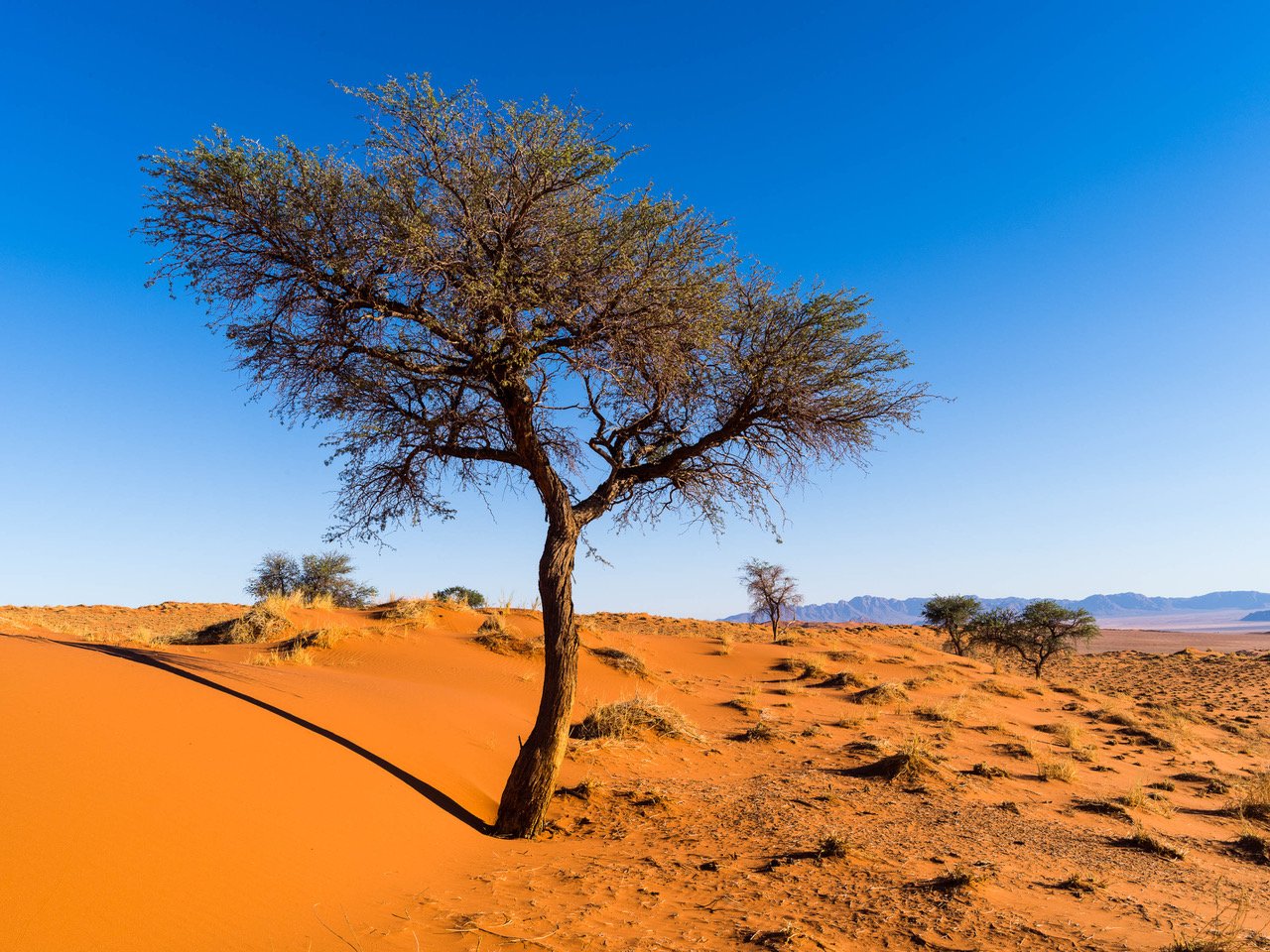 Namibia No.31, Africa