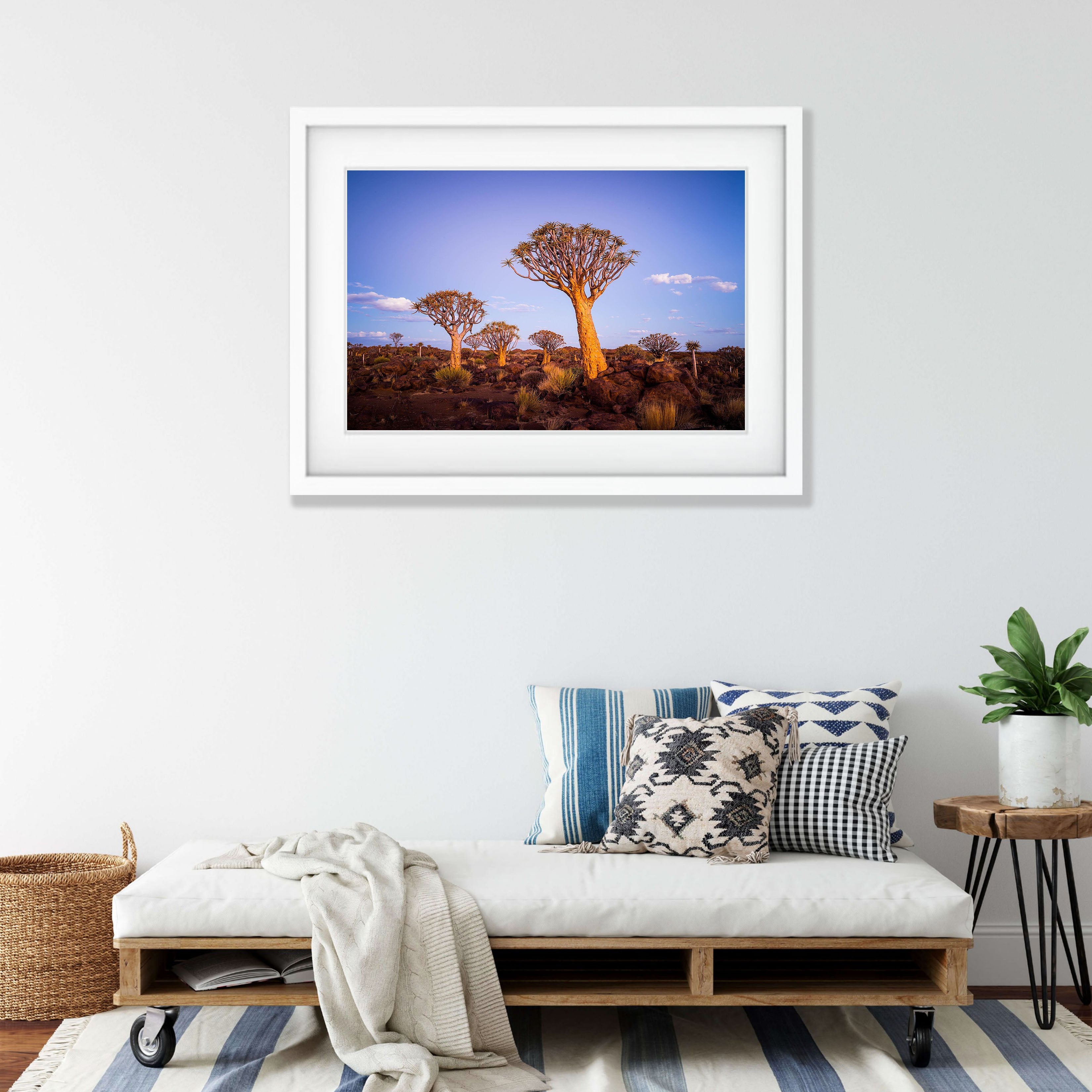 Golden Guardians, Namibia, Africa