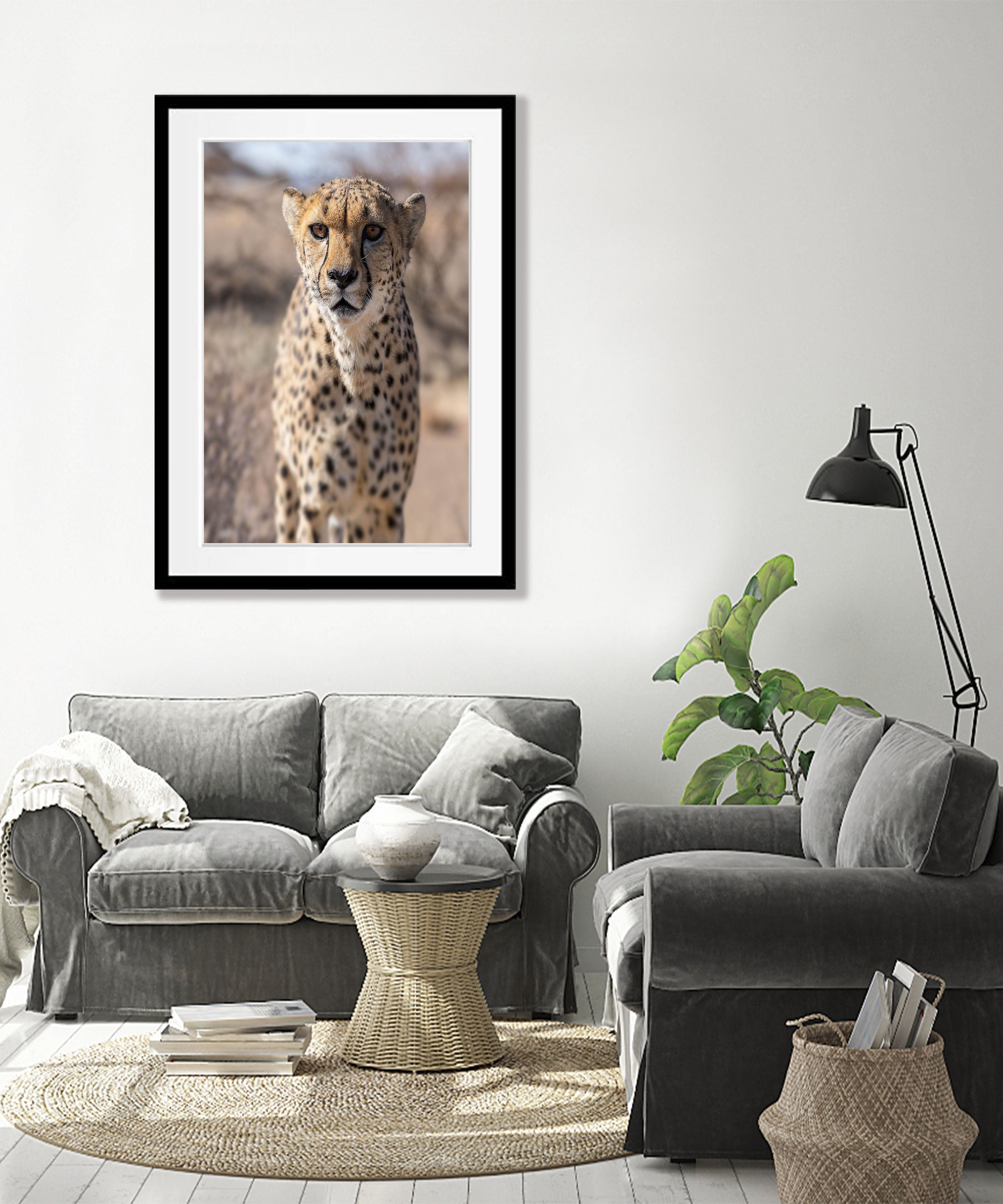 Silent Strength, Namibia, Africa