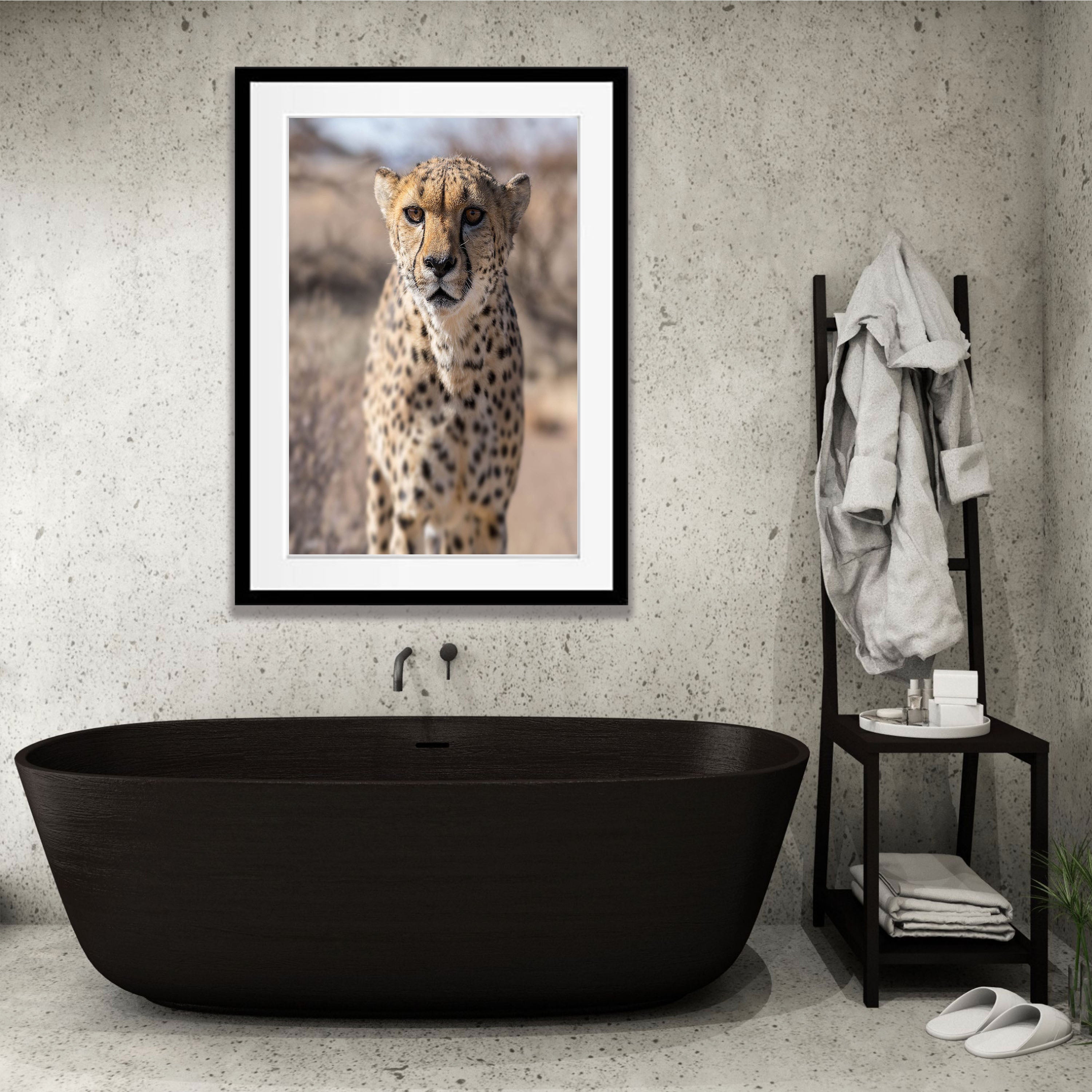 Silent Strength, Namibia, Africa