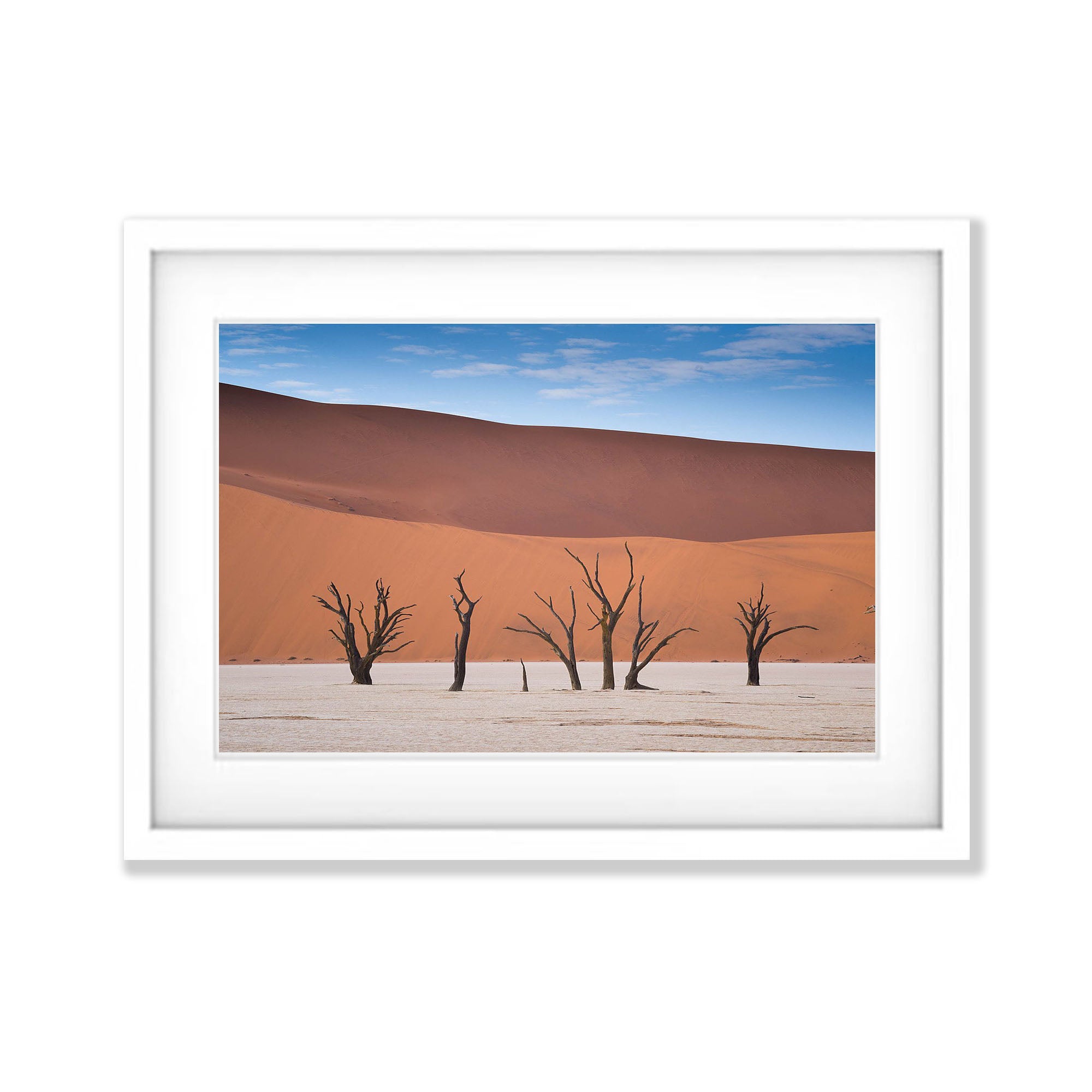 Eternal Persistence, Deadvlei, Namibia, Africa