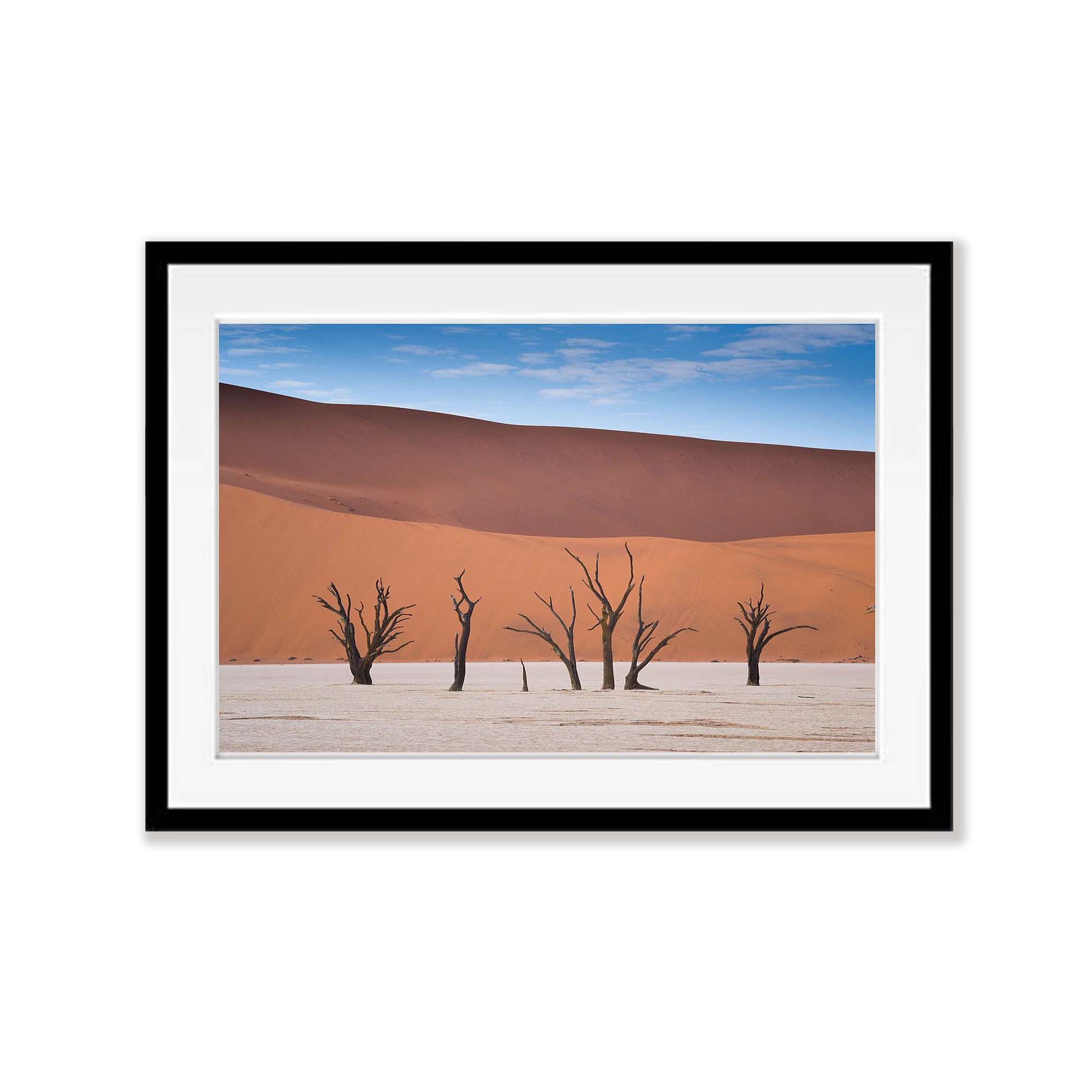 Eternal Persistence, Deadvlei, Namibia, Africa