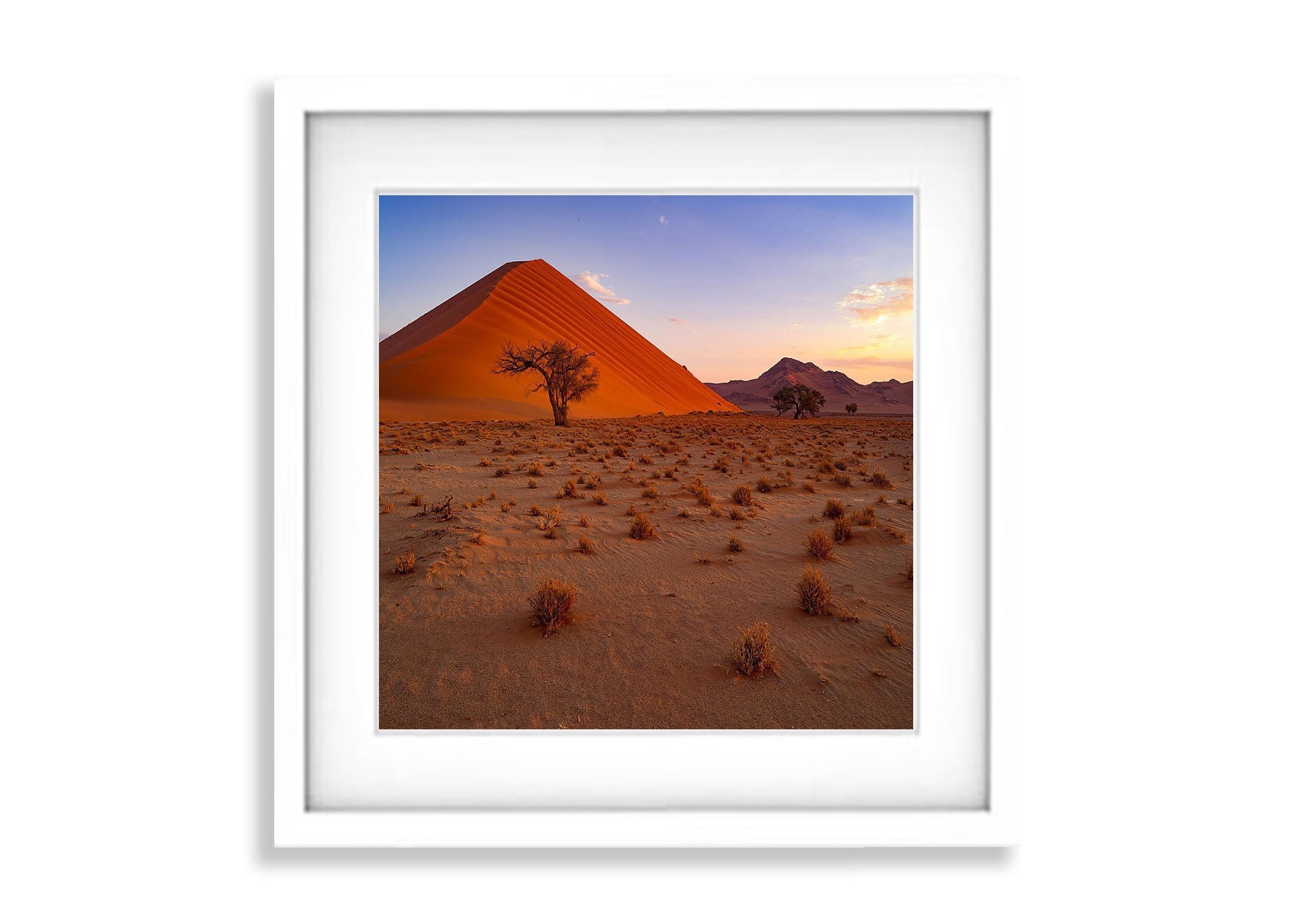 Dune 45 at sunset, Namibia, Africa