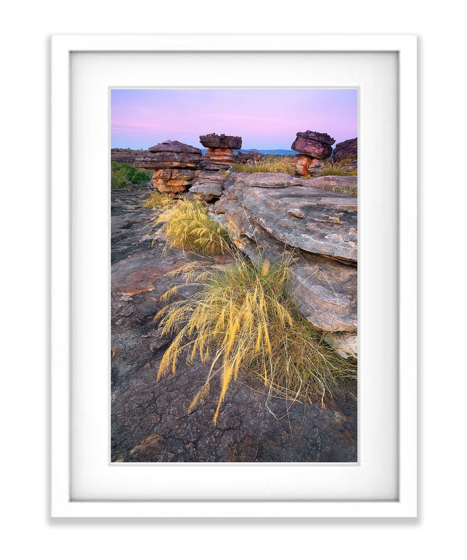 Native Grasses, Ubir Rock, Kakadu, Arnhem Land, Northern Territory