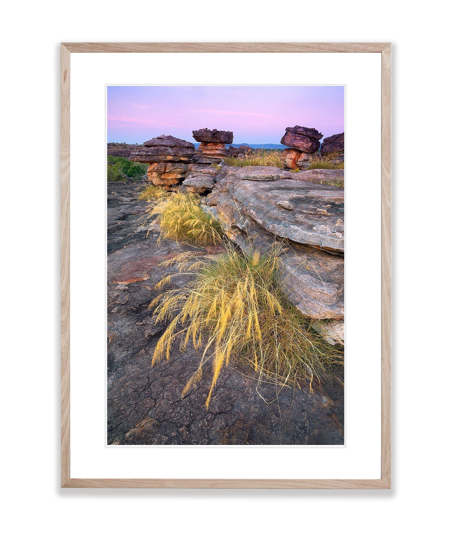 Native Grasses, Ubir Rock, Kakadu, Arnhem Land, Northern Territory