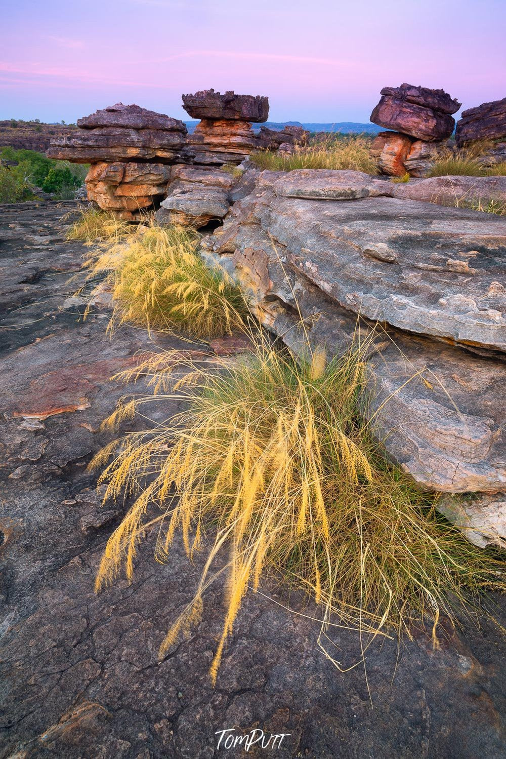 Group of rocky stones with some grass and bushes on the corners and a clear weather, Arnhem Land 1 - Northern Territory