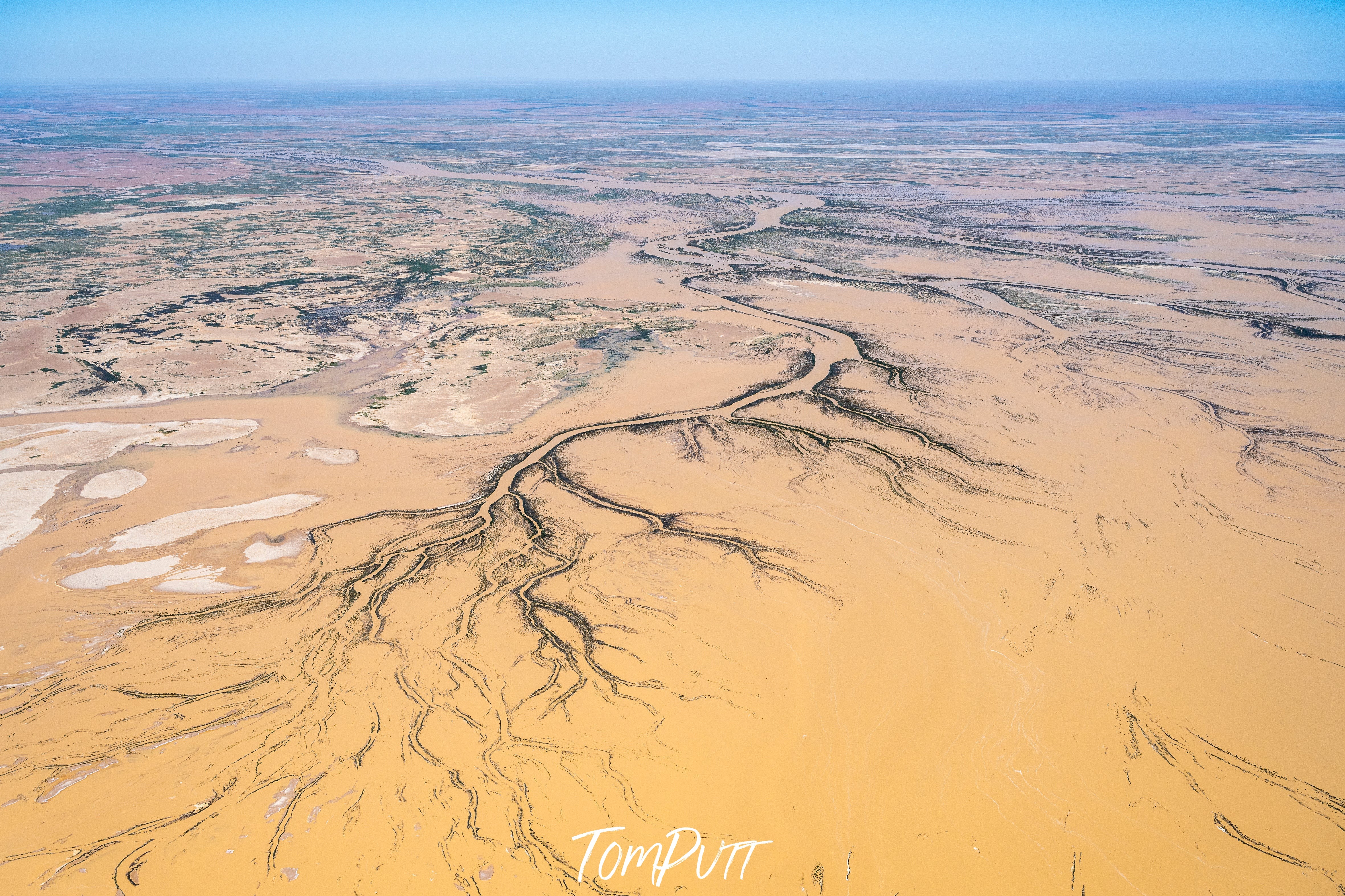 Neales Delta in flood No.3, Kati Thanda-Lake Eyre, SA