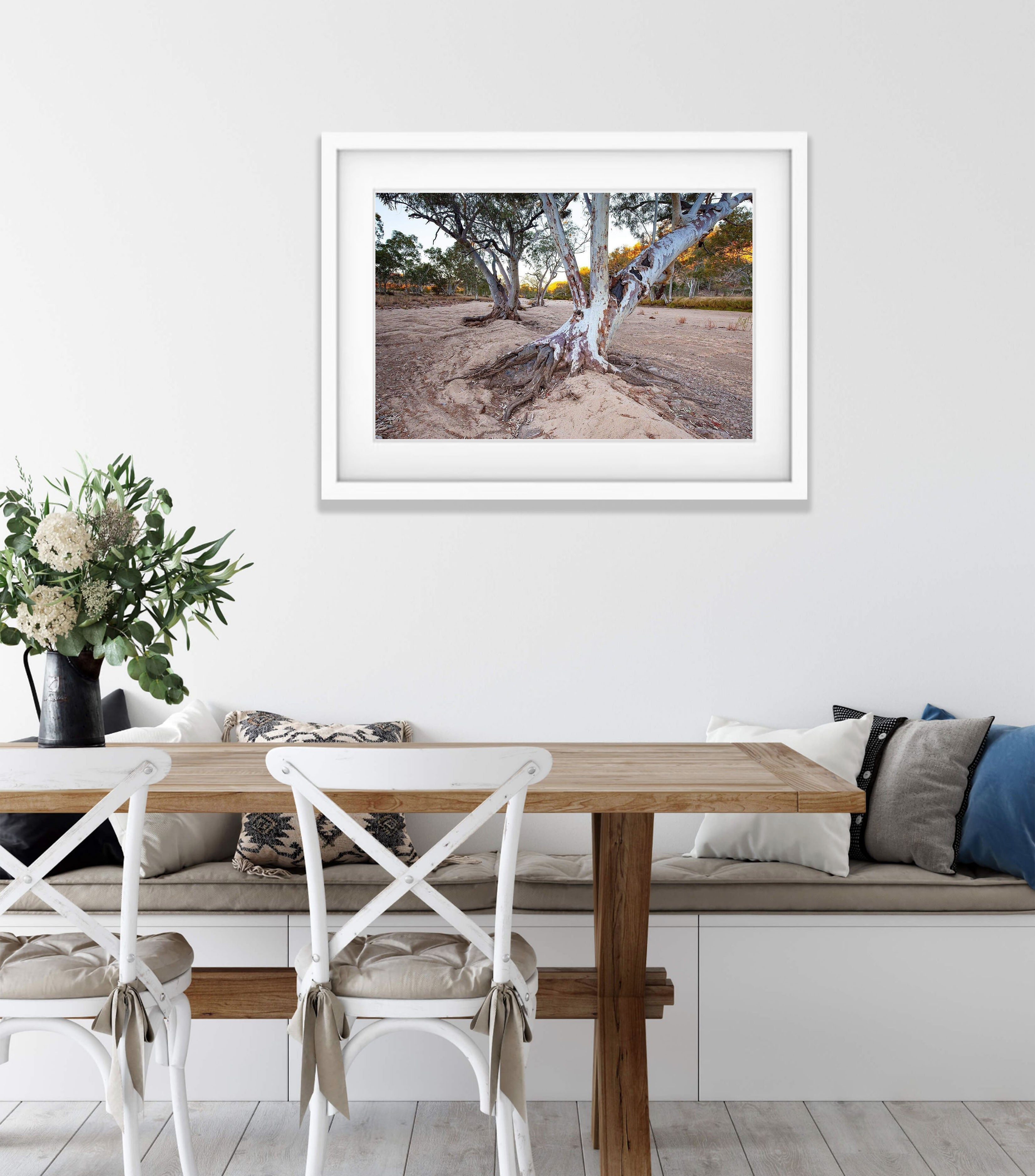 Ormiston River Gums - West Macdonnell Ranges, NT