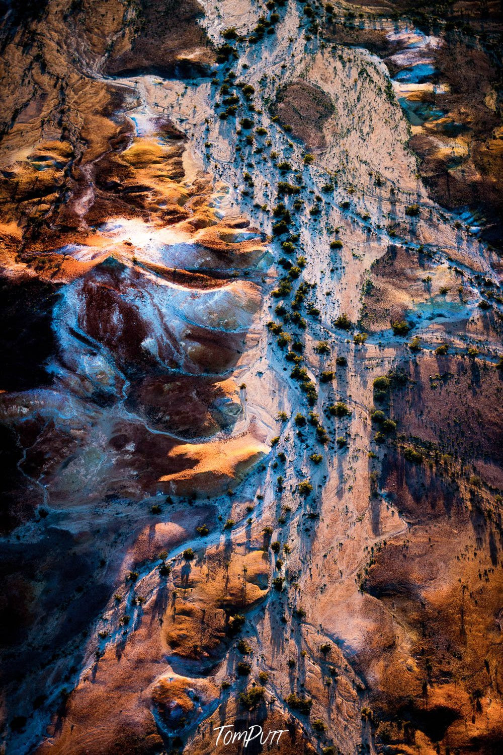 Aerial view of the large golden surface with a snow-covered line over with some small trees, Painted Hills #18