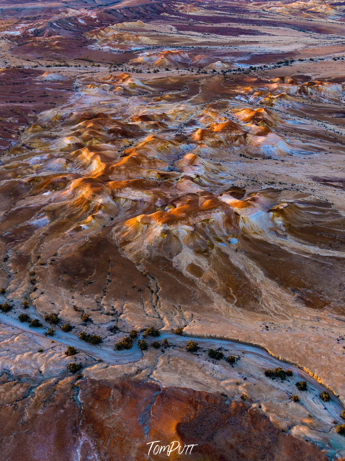 Aerial view of desert land with shiny golden mounds, and a road with small trees below, Painted Hills #36